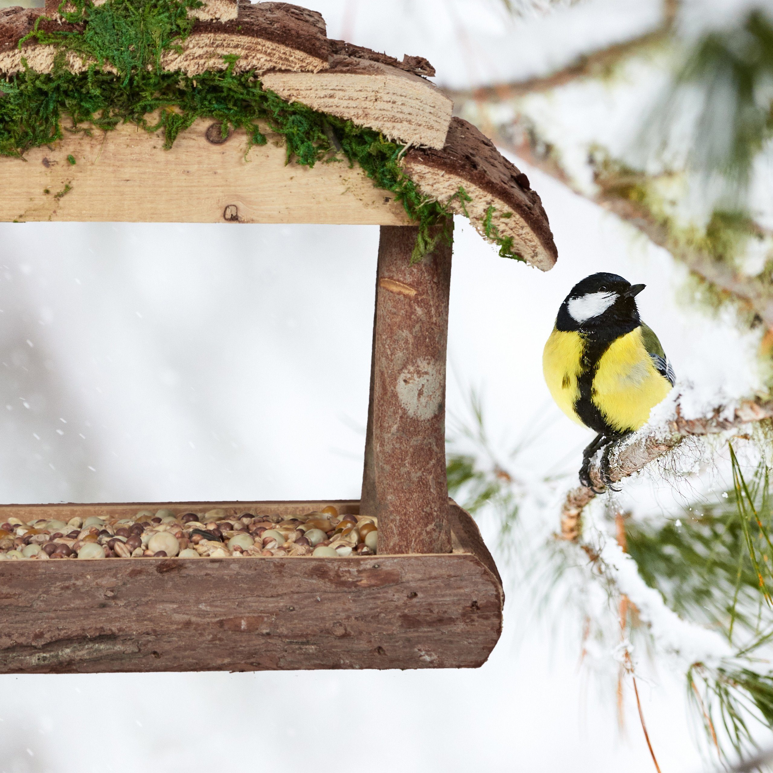 relaxdays Vogelhaus Vogelfutterhaus zum Aufhängen