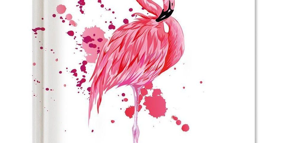 Alpha Edition Notizbuch Collegetimer Pocket Flamingo 2017/2018 -  Schülerkalender A6 - Weekly