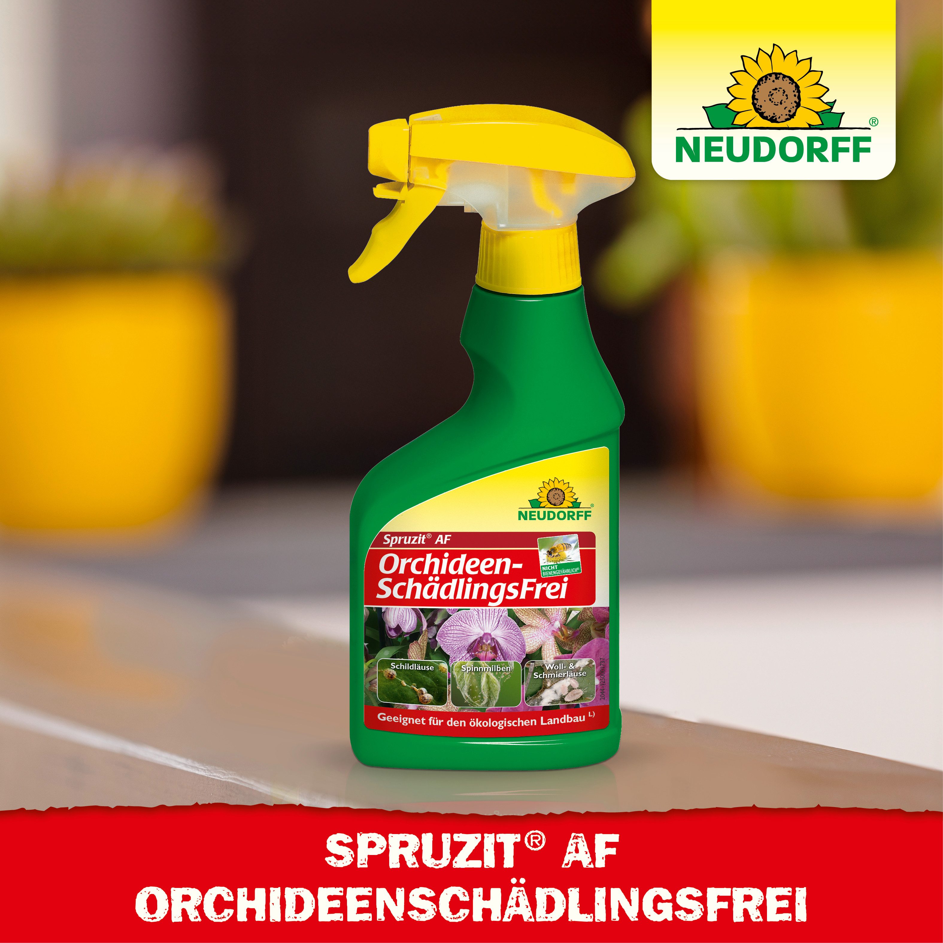 Neudorff Insektenspray Spruzit AF OrchideenSchädlingsFrei 250 ml, 0,25 l, Wirkt gegen Eier, Larven & ausgewachsene Insekten, Anwendungsfertiges Schädlingsspray  – Bild 5 von 5