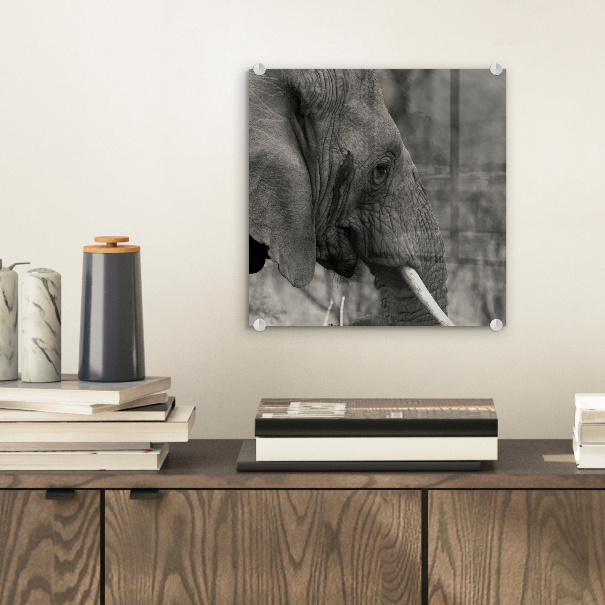 Bilder auf Wandbild Foto - Schwarz St), Weiß, (1 auf - - Tiere Glasbilder Elefant - Acrylglasbild Glas Glas - Wanddekoration MuchoWow -