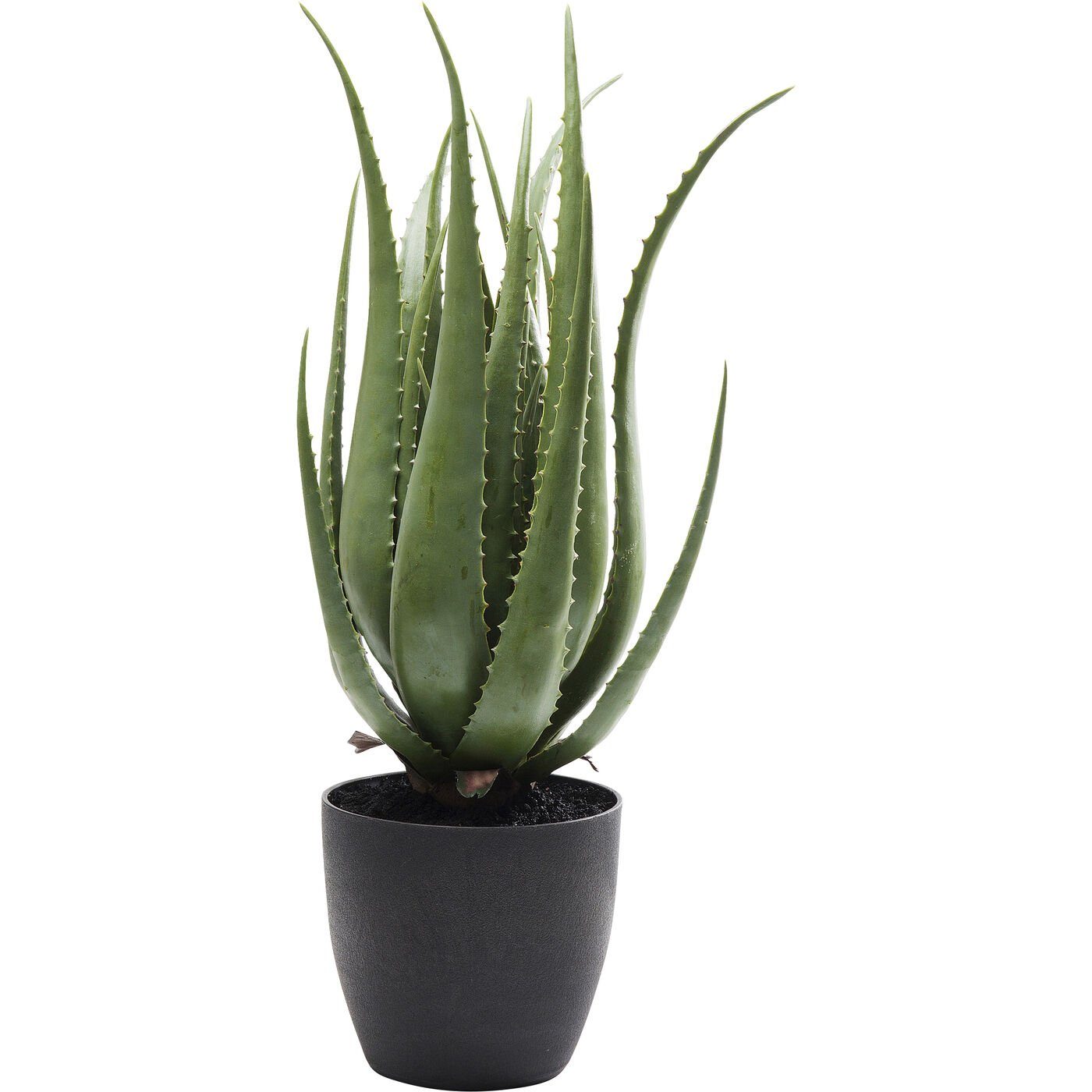 KARE, cm Höhe Aloe, Zimmerpflanze 69.0 Künstliche
