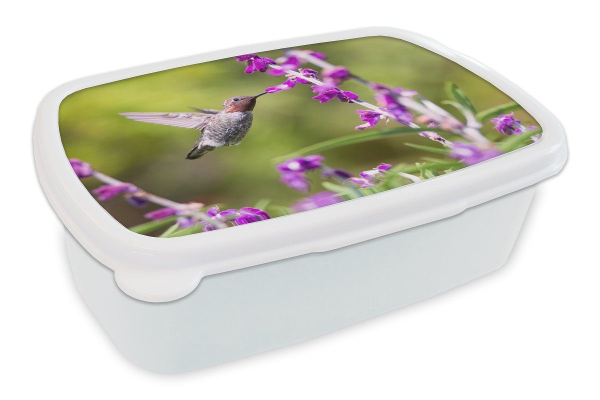 MuchoWow Lunchbox Kolibri - Vogel - Natur, Kunststoff, (2-tlg), Brotbox für Kinder und Erwachsene, Brotdose, für Jungs und Mädchen weiß