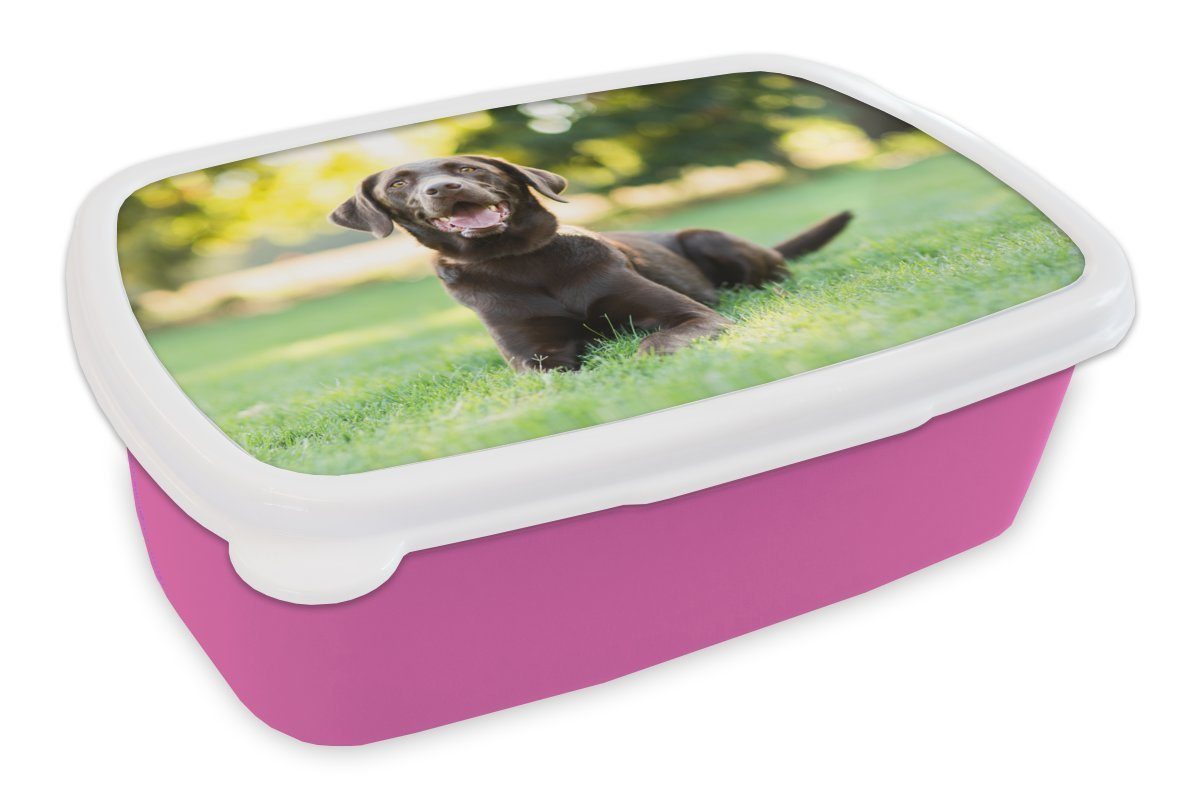 MuchoWow Lunchbox Ein Labrador Retriever liegt im Gras, Kunststoff, (2-tlg), Brotbox für Erwachsene, Brotdose Kinder, Snackbox, Mädchen, Kunststoff rosa