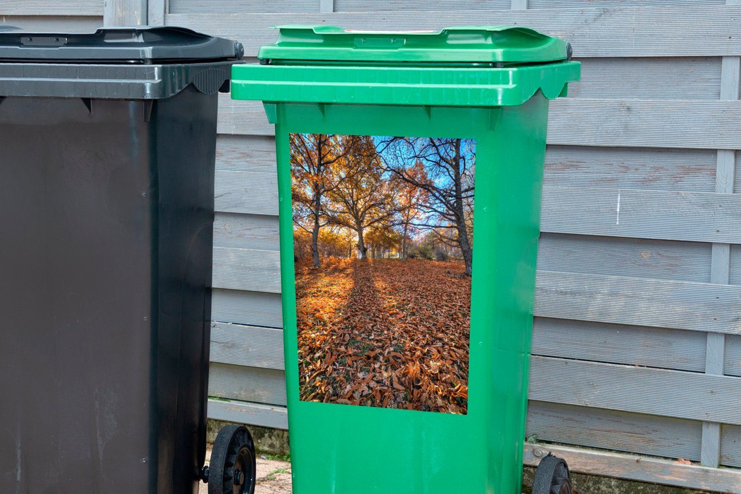 Madrid, Mülltonne, Mülleimer-aufkleber, St), Wandsticker MuchoWow (1 Spanien Sticker, in Kastanienbäume Container, Abfalbehälter