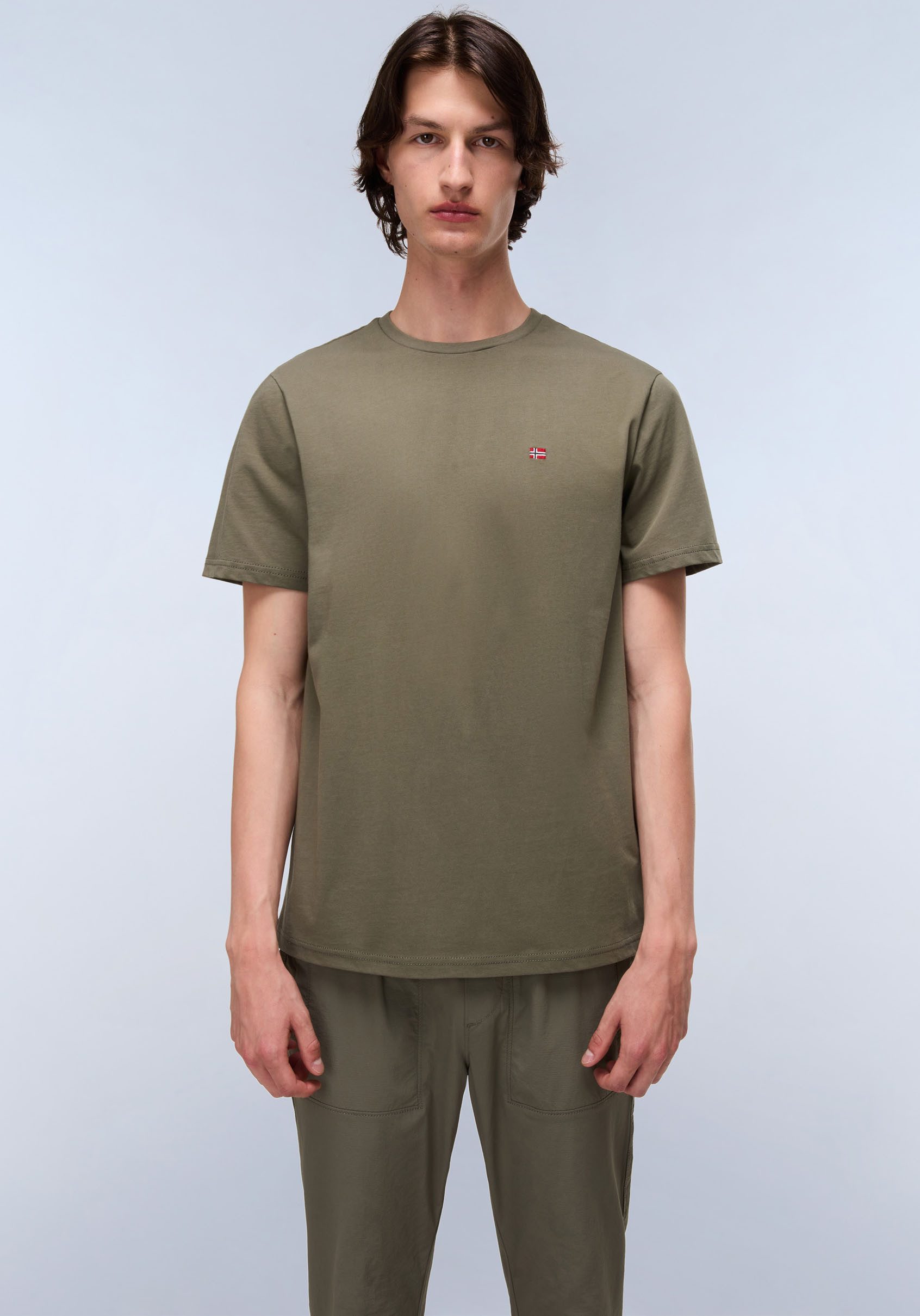 Napapijri T-Shirt SALIS SS SUM SHARK SKIN HCB günstig online kaufen