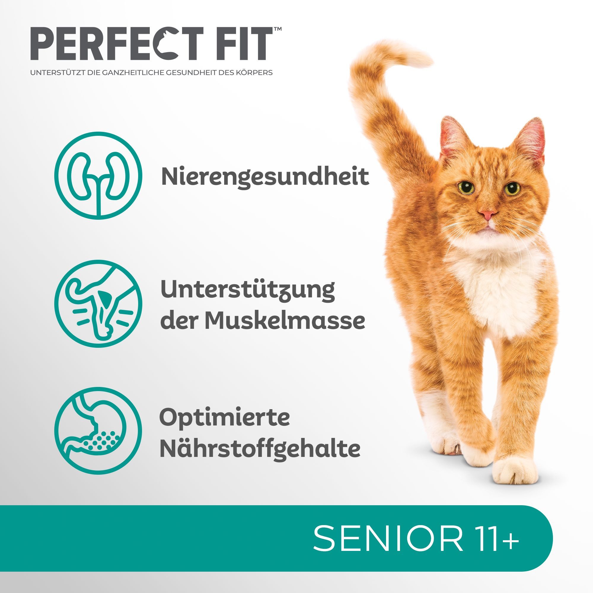 Perfect Fit PERFECT FIT™ Katze Beutel Senior 11+ mit Huhn 6 x 750g, Trockenfutter für: Katze