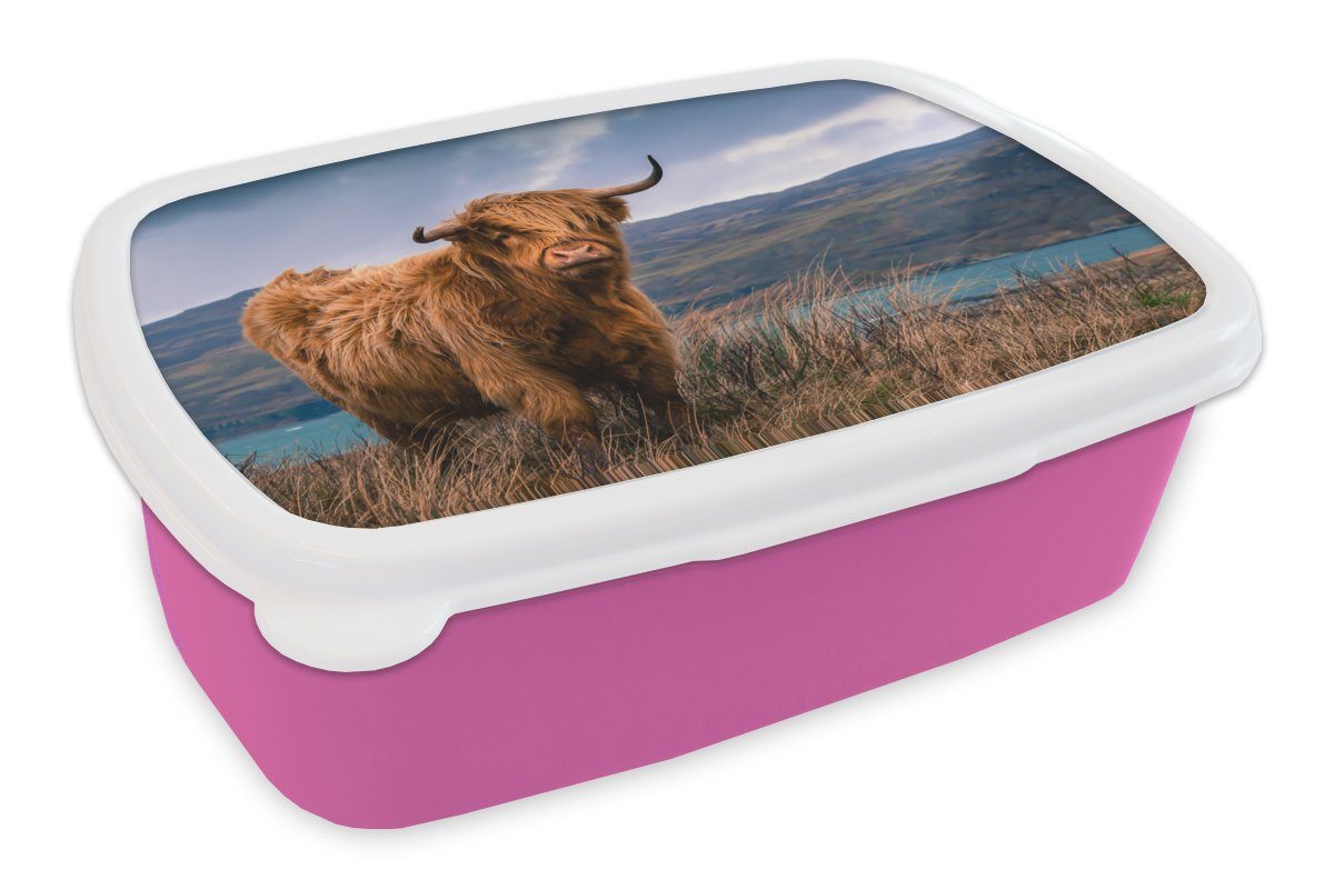 MuchoWow Lunchbox Schottische Highlander - Himmel - Natur, Kunststoff, (2-tlg), Brotbox für Erwachsene, Brotdose Kinder, Snackbox, Mädchen, Kunststoff rosa