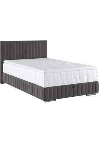  COTTA Boxbett Beetle ir apsauginis čiu...