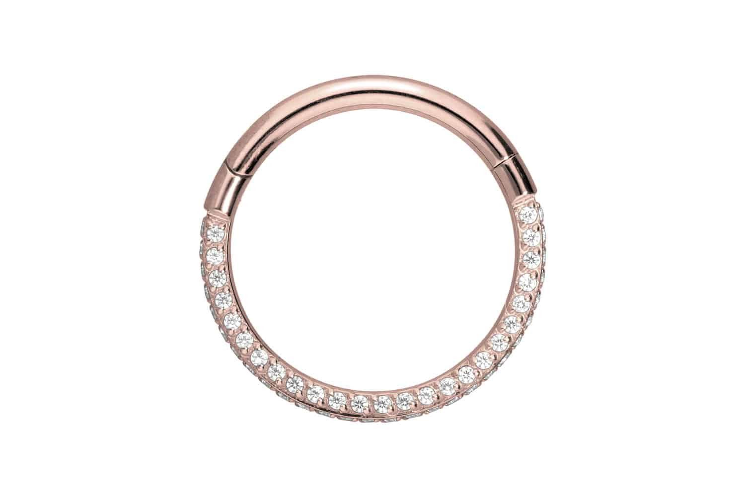 Nasenpiercing Titan Segmentring Clicker KRISTALLRAND Ohrpiercing Septum Nase