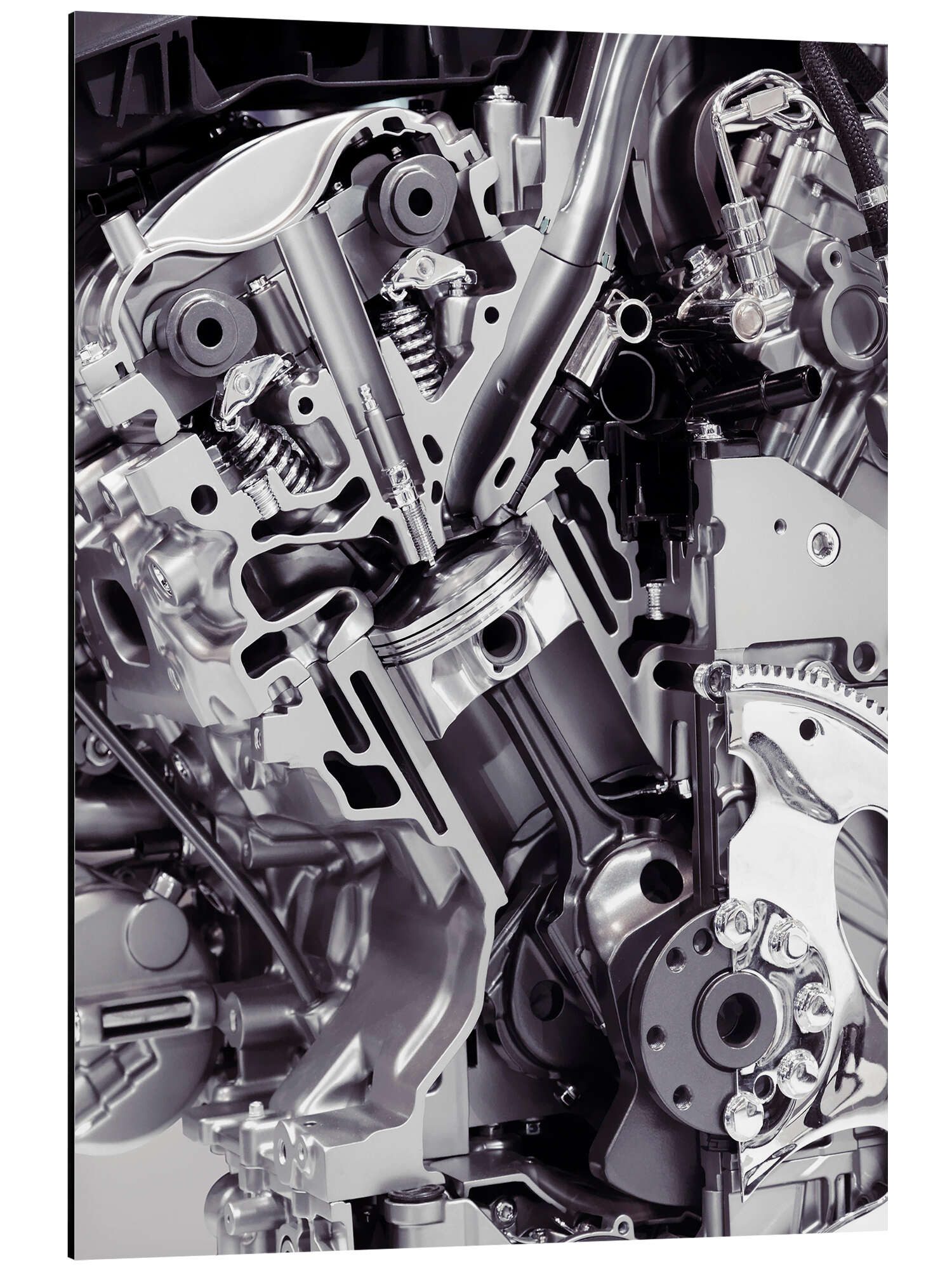 Alu-Dibond-Druck Maxim Images