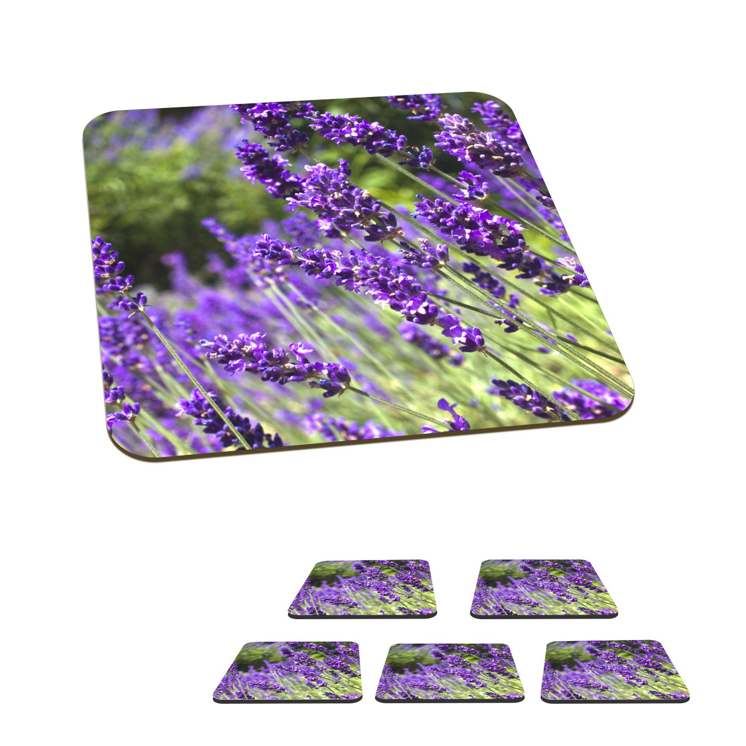 MuchoWow Glasuntersetzer Leuchtend lila Lavendel in der Natur, Zubehör für Gläser, 6-tlg., Glasuntersetzer, Tischuntersetzer, Korkuntersetzer, Untersetzer, Tasse