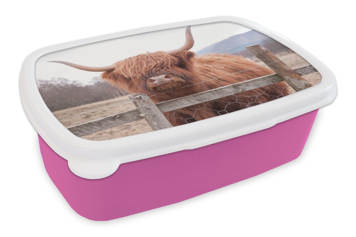 rosa - Brotbox Snackbox, Erwachsene, Mädchen, - MuchoWow Kunststoff, für Gras Zaun, Scottish (2-tlg), Kunststoff Brotdose Highlander Lunchbox Kinder,