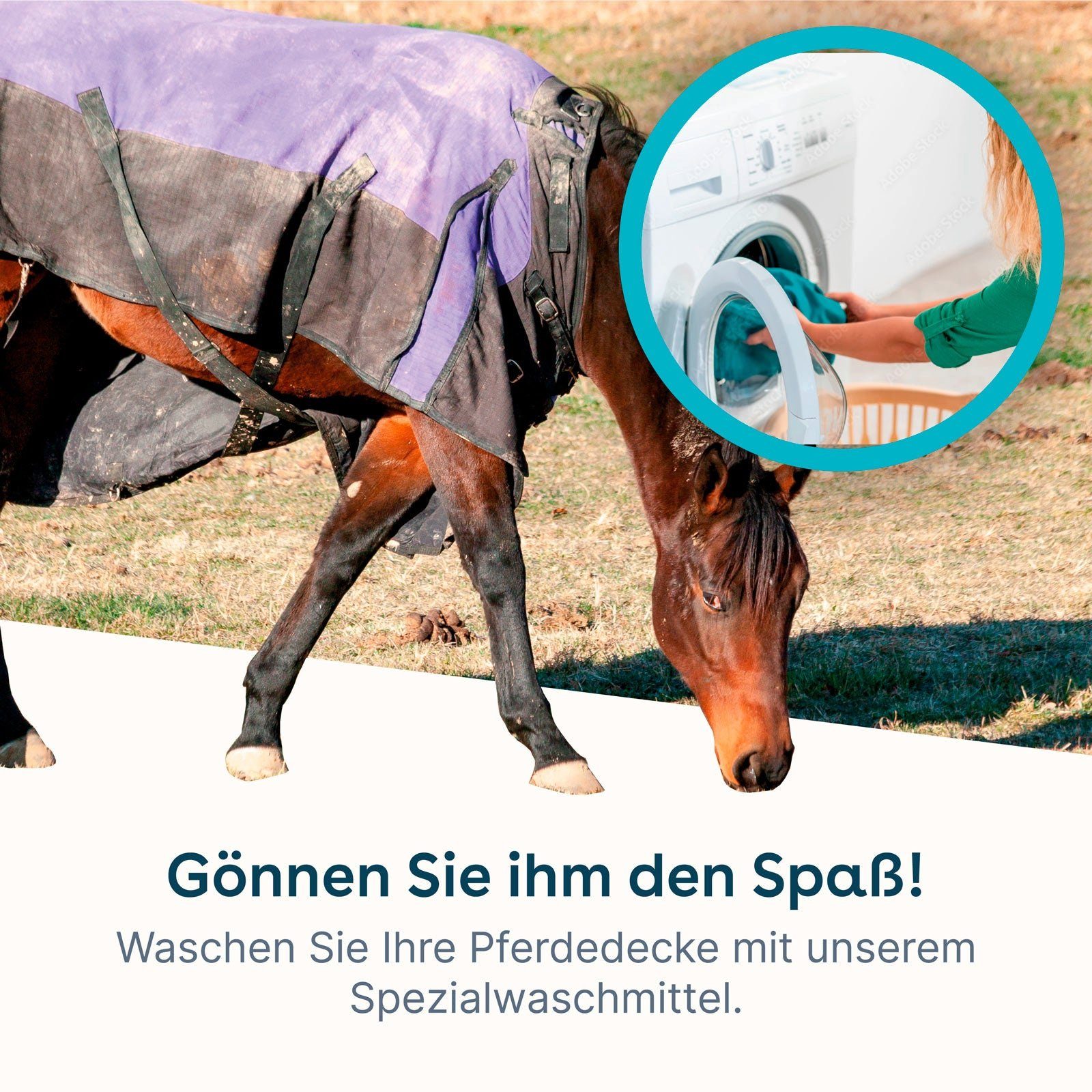 eco:fy wasseranziehenden Pferdedecken-Waschmittel Spezialwaschmittel (Entfernt schonend Dreck) den
