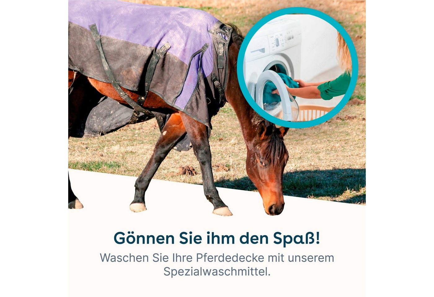 Thumbnail - eco:fy Pferdedecken-Waschmittel Spezialwaschmittel (1-St. Entfernt schonend den wasseranziehenden Dreck)