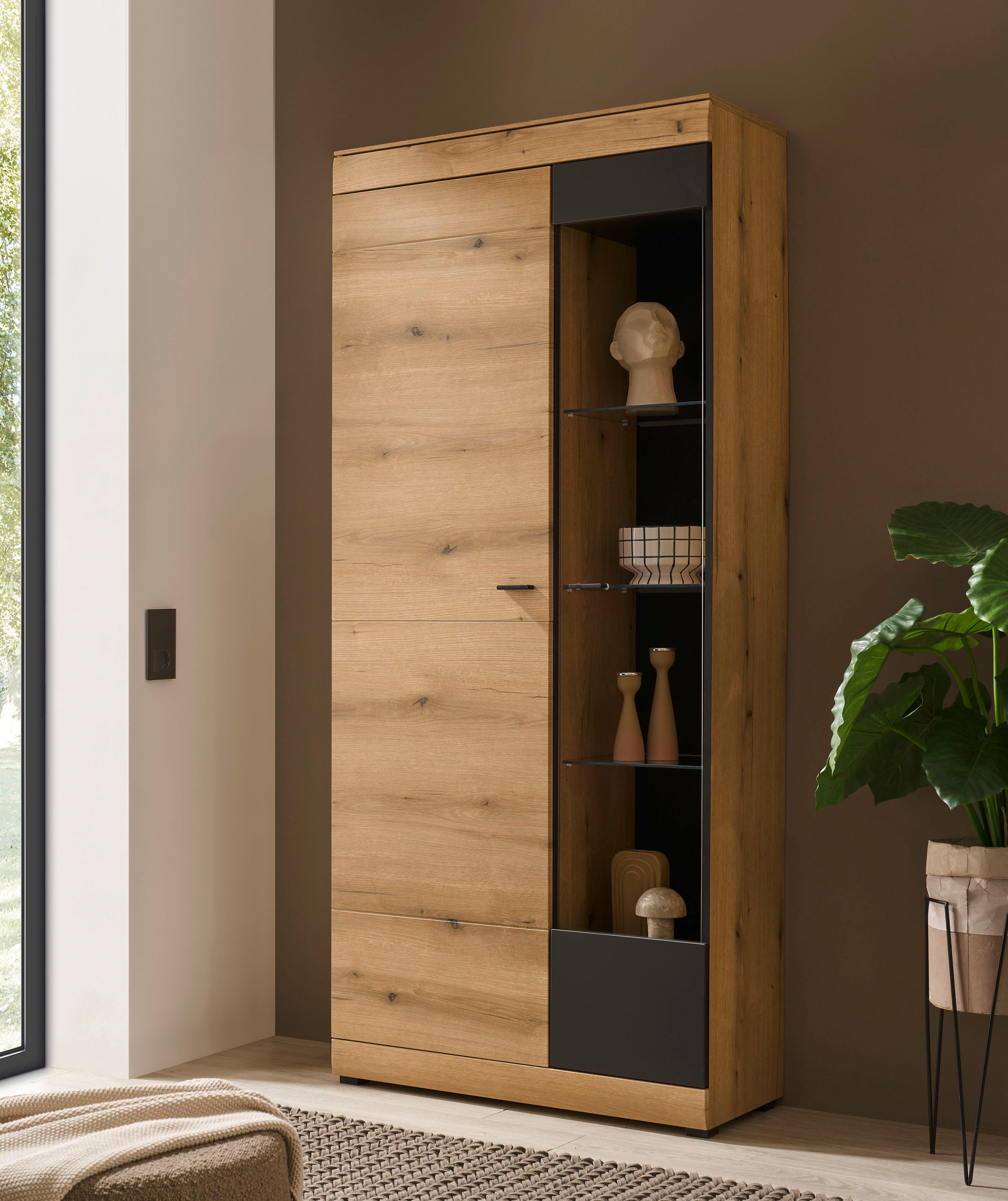 Home affaire Vitrine Soleto, Vitrinenschrank in Evoke Eiche, moderne Glasvitrine ausreichend Stauraum, schwarze Griffe aus Metall, zeitlos