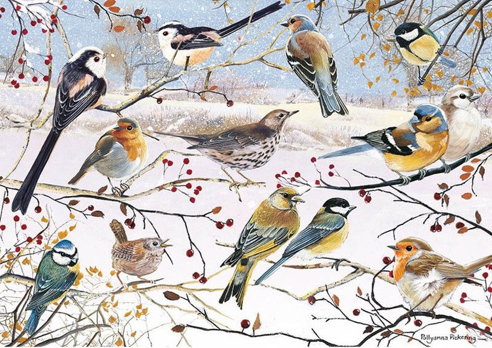 Otter House Puzzle Vögel im Winter, Puzzleteile günstig online kaufen