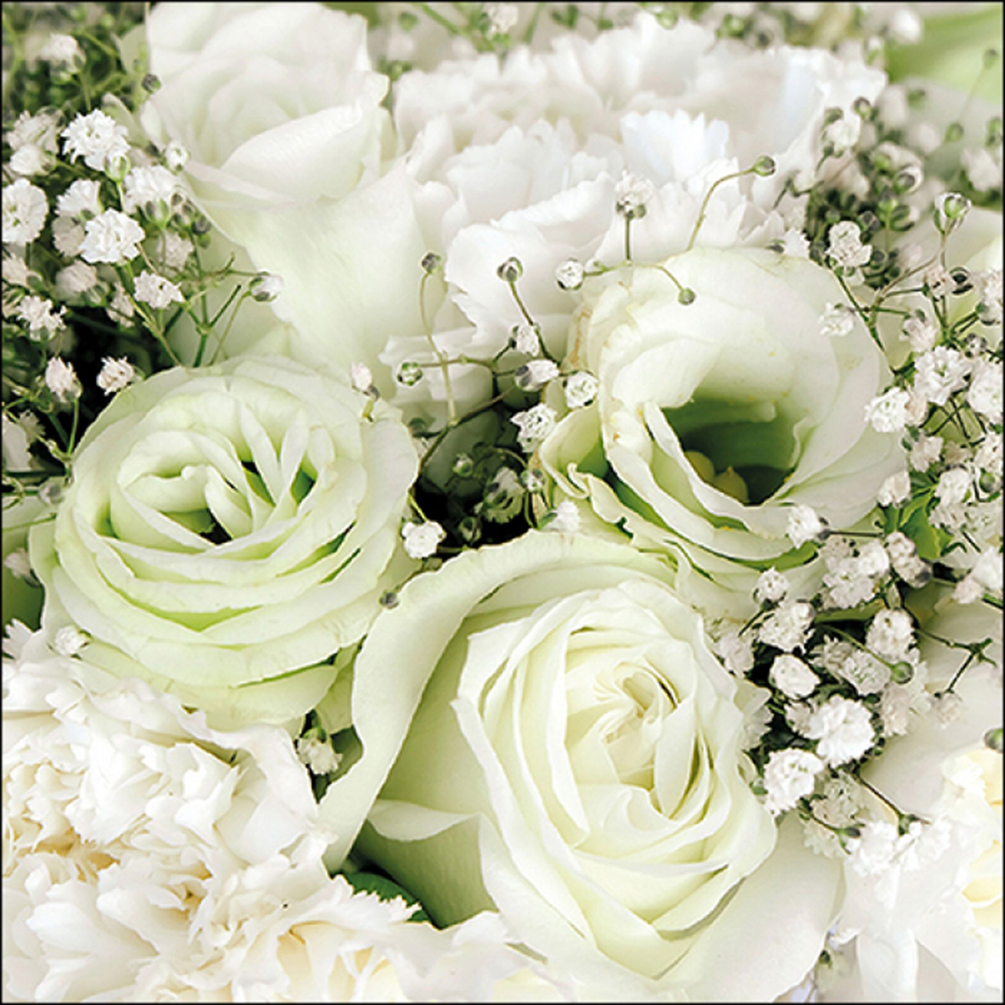 Ambiente Luxury Paper Products Papierserviette, Servietten Papier 33x33cm 3-lag mit Rosen & Schleierkraut Motiv 20 Stk