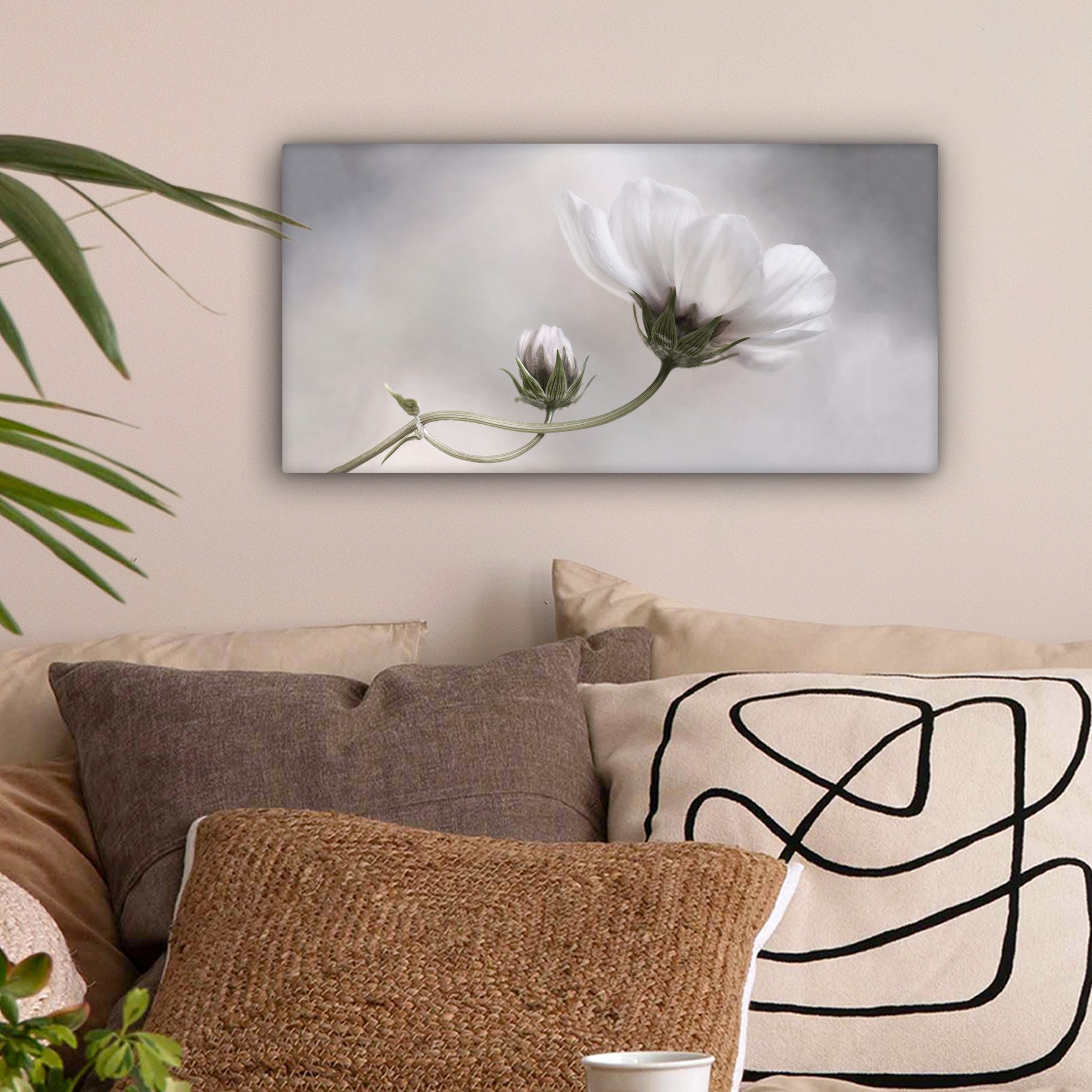 OneMillionCanvasses® Leinwandbild Panorama Blumen - Stillleben günstig online kaufen