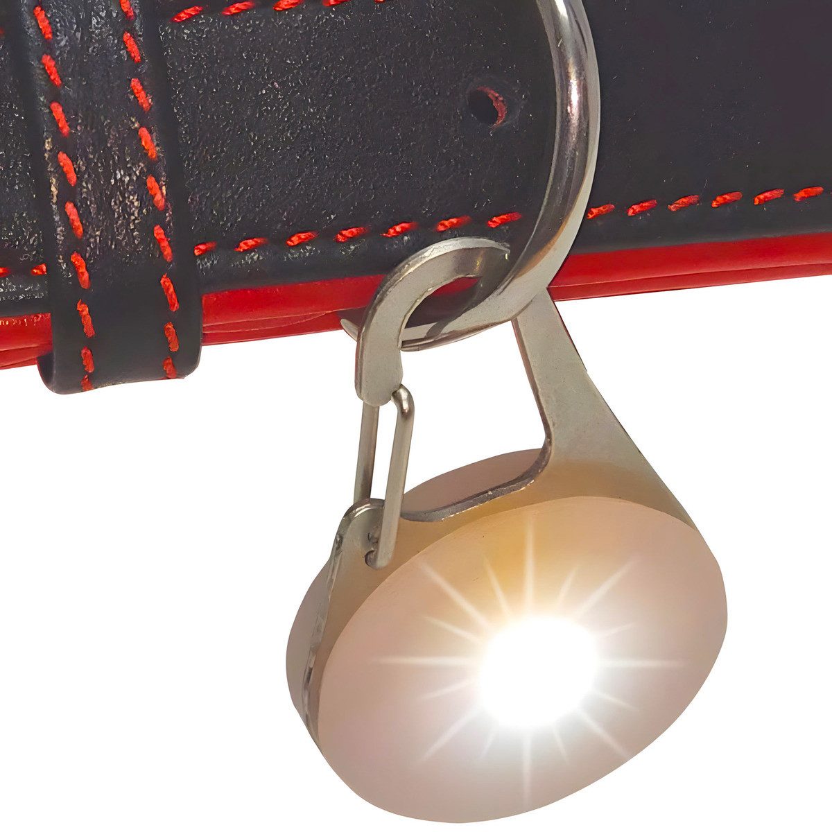 Nobby Hundehalsbandleuchte Leuchtanhänger Light