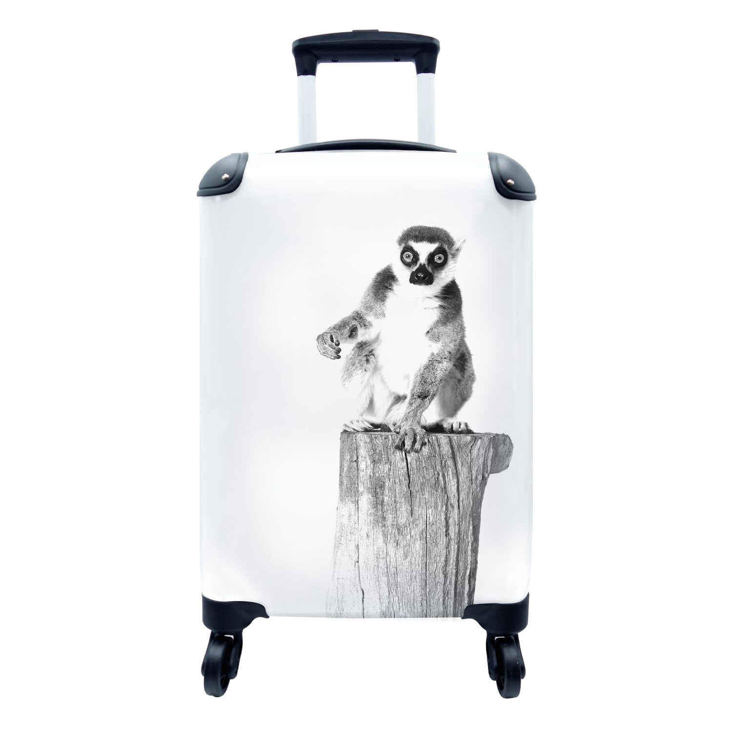 MuchoWow Handgepäckkoffer Studio-Porträt eines - rollen, Handgepäck Reisekoffer Reisetasche Rollen, mit für Ringelschwanz-Lemuren 4 Trolley, schwarz-weiß, Ferien