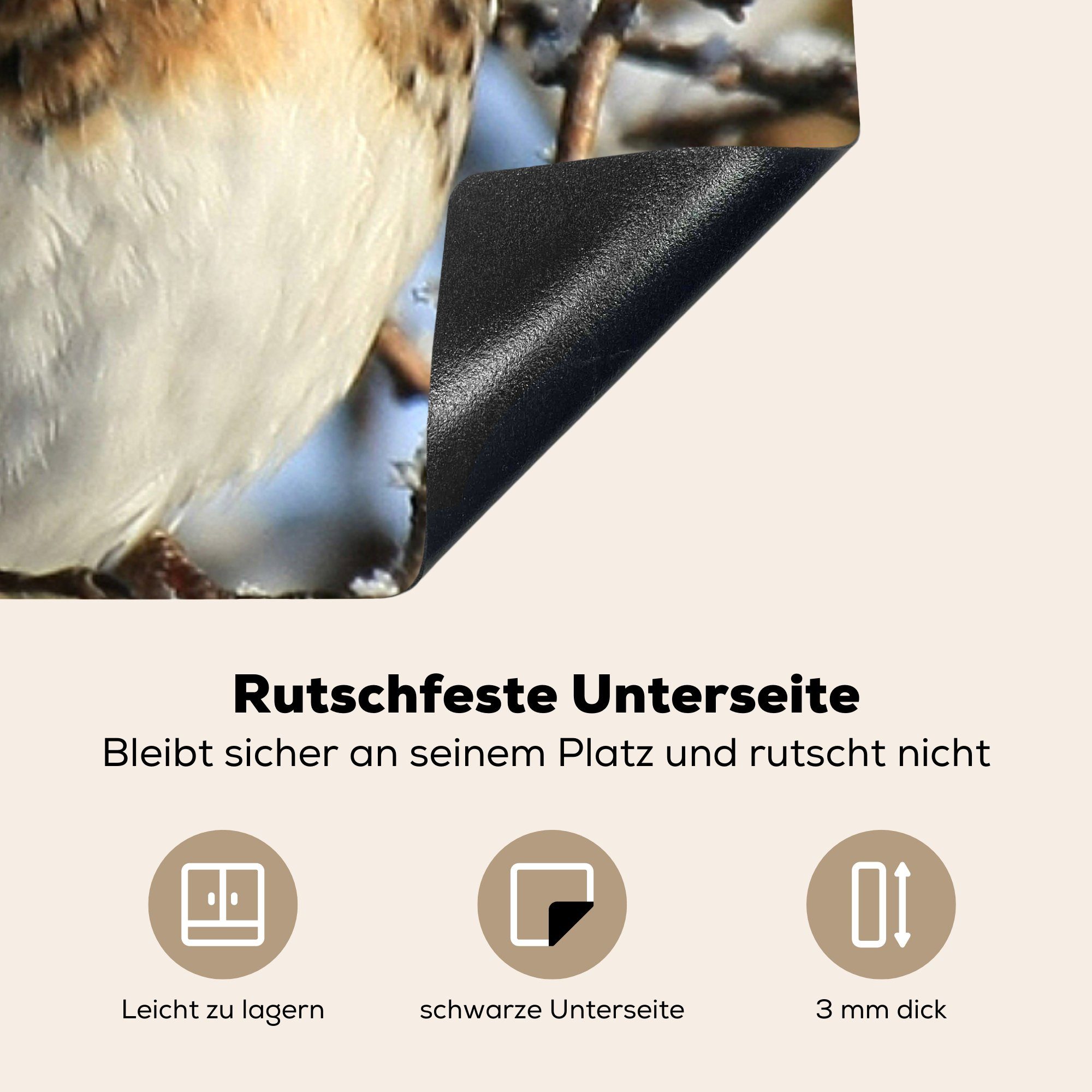 Baum im Ceranfeldabdeckung, Herdblende-/Abdeckplatte Eine küche Winter, Arbeitsplatte in tlg), einem Amsel (1 für Vinyl, MuchoWow cm, 78x78