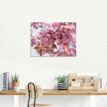 Artland Glasbild Japanische Kirschblüte in Love I, Blumen (1 St), in verschiedenen Größen