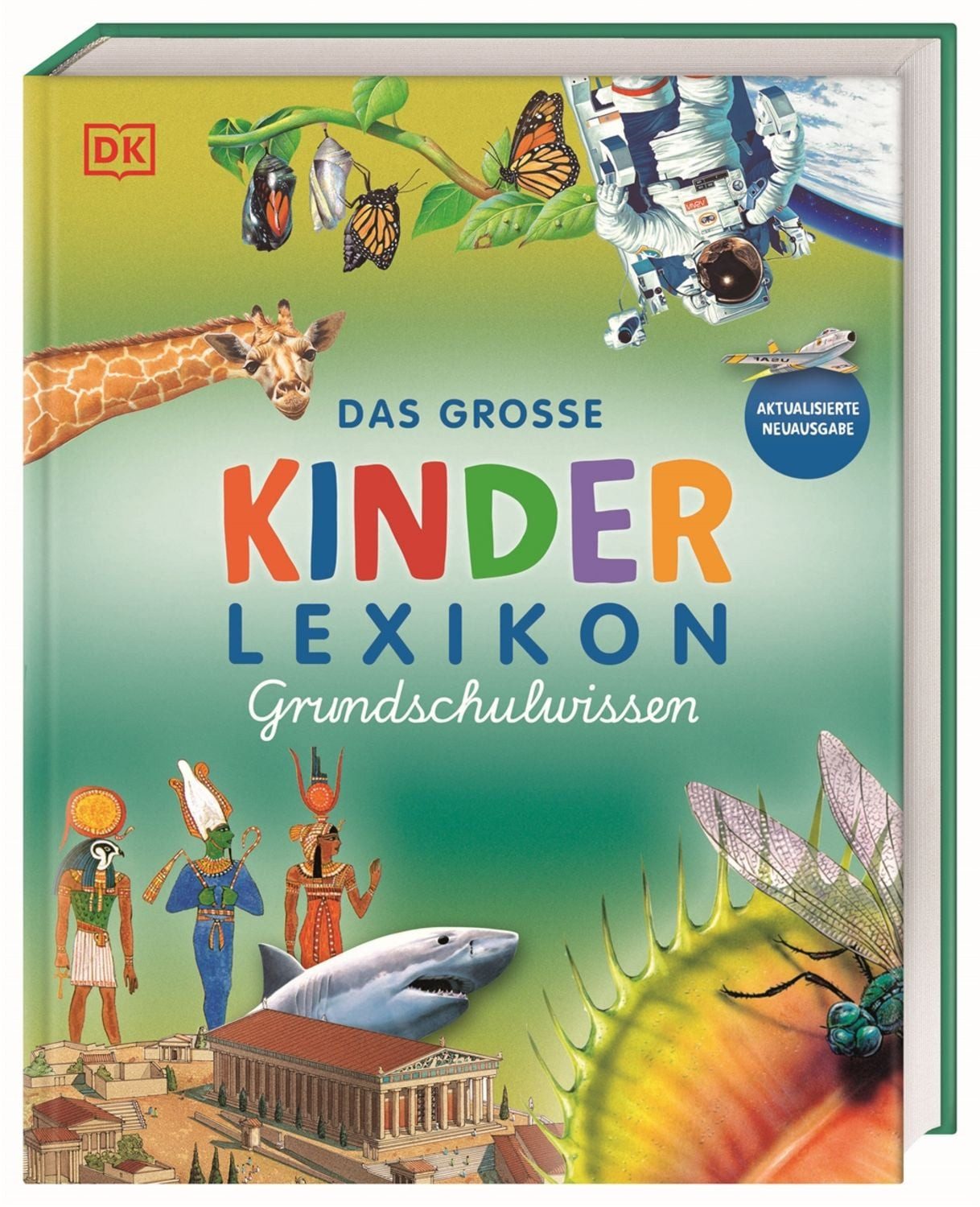 Das große Kinderlexikon Grundschulwissen / Philip Steele, Barbara Taylor, Deborah Chancellor