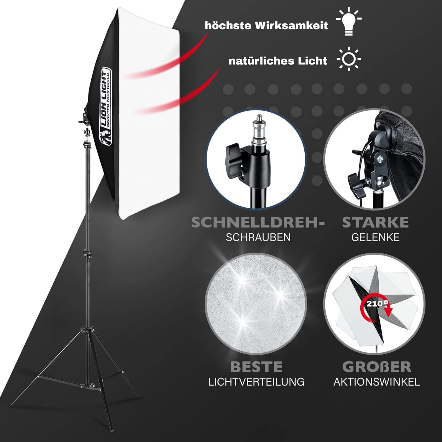 Lion Light Lion Light Softbox Set 2x 50x70 cm 2x E27 85W 5500K Licht Studio-Stativ-Blitz, (Profi Studiolicht inkl. Stative & Reflektoren energiesparend)