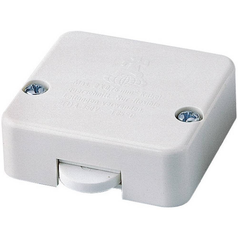 interBär Schalter Einbau-Truhentaster mit Zusatzgehäuse 5120-003.05