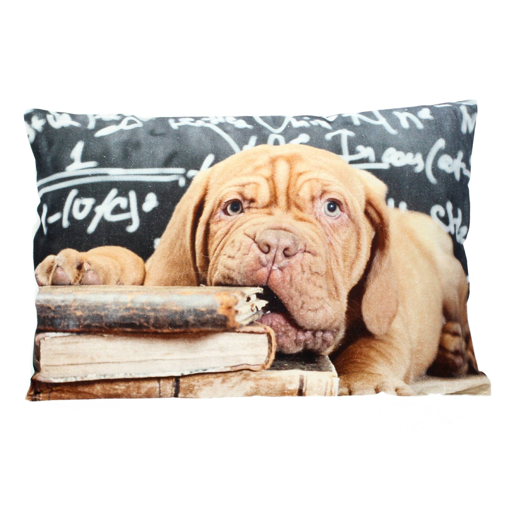 Mars & More Sofakissen Bordo Hund Bordeaux Dogge Kanevas inkl. Füllung 35x50 cm Motiv, (1 St)
