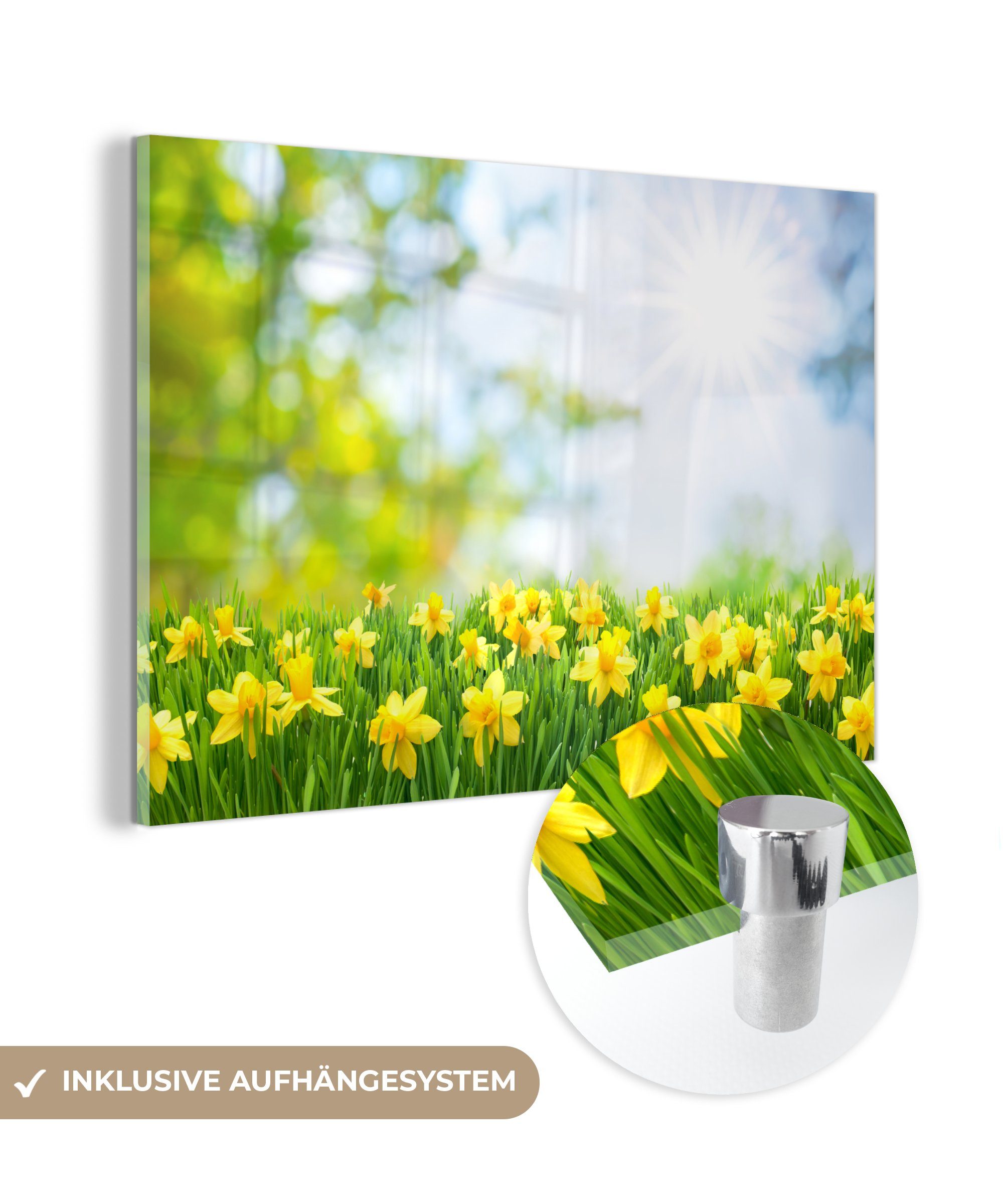 MuchoWow Acrylglasbild Blumen - Frühling - Gelb, (1 St), Acrylglasbilder Wohnzimmer & Schlafzimmer