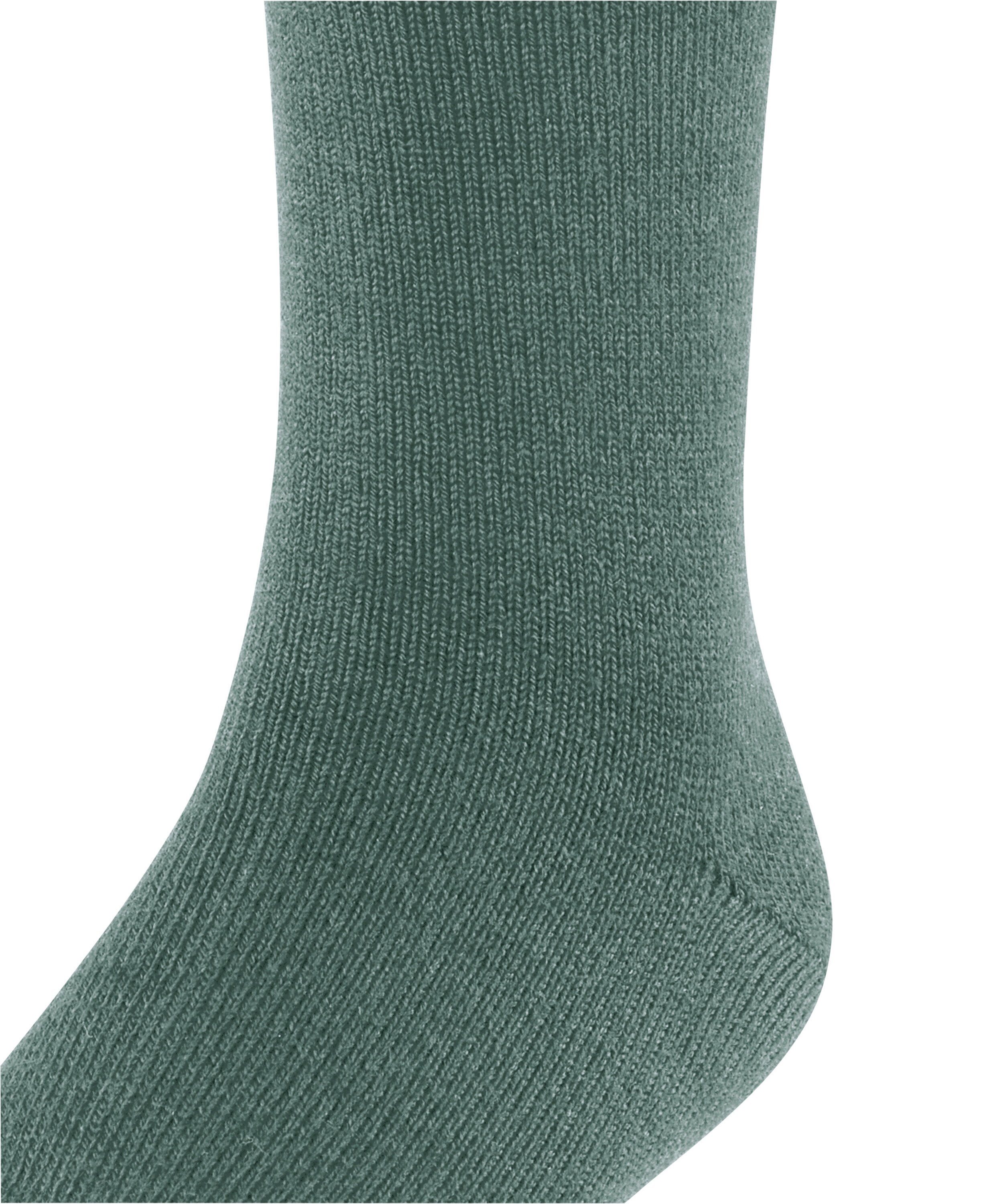 Wool FALKE jade (7248) Socken dark Comfort (1-Paar)