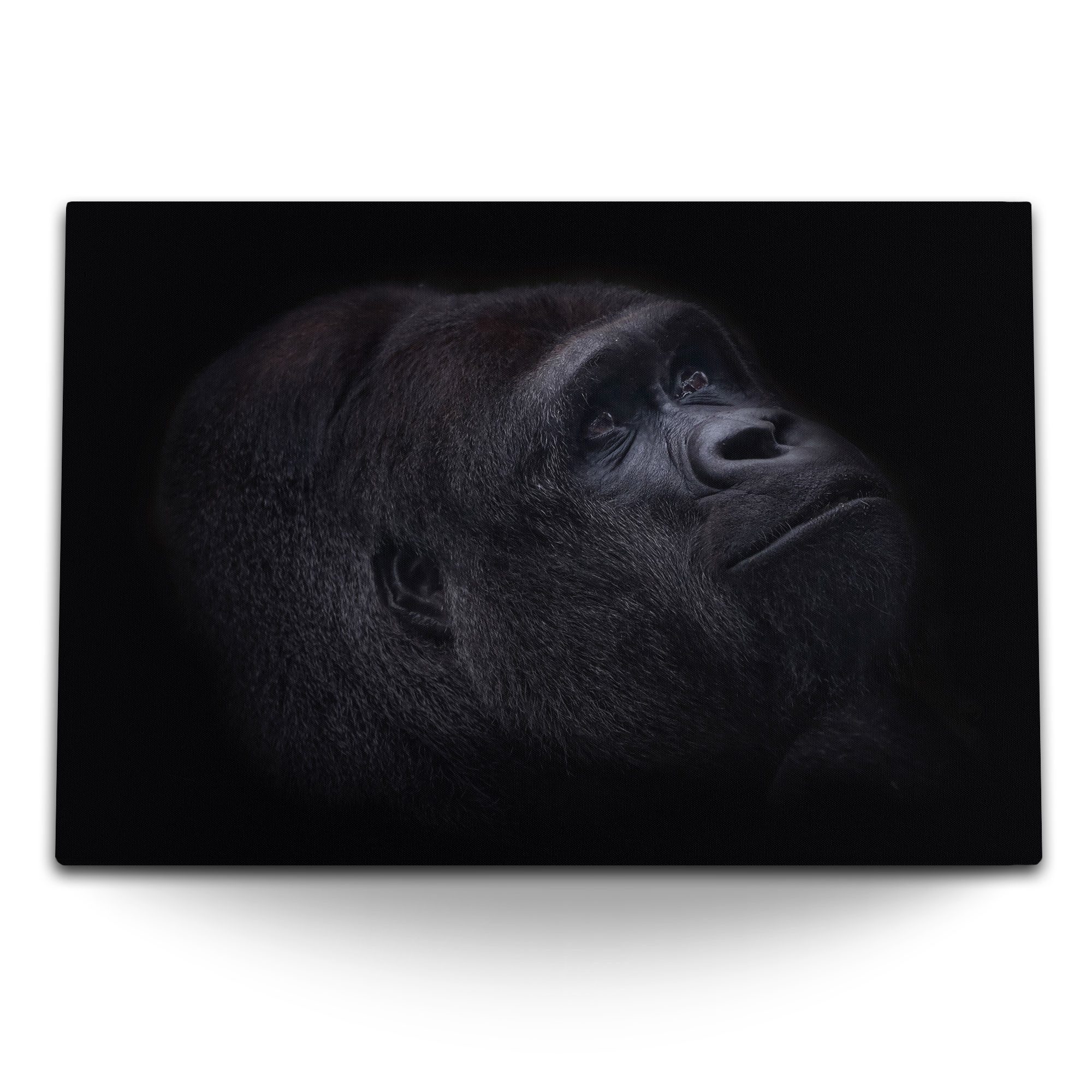 Leinwandbild 120x80cm Wandbild auf Leinwand Gorilla Porträt Schwarz Silberrücken Ti