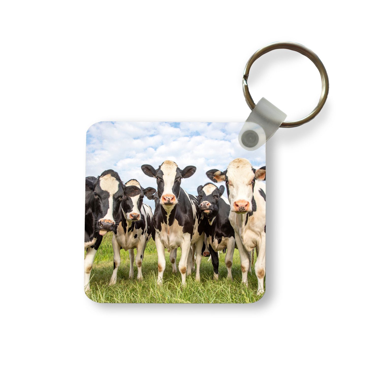 Schlüsselanhänger Kühe - Weide - Tiere - Natur - Gras