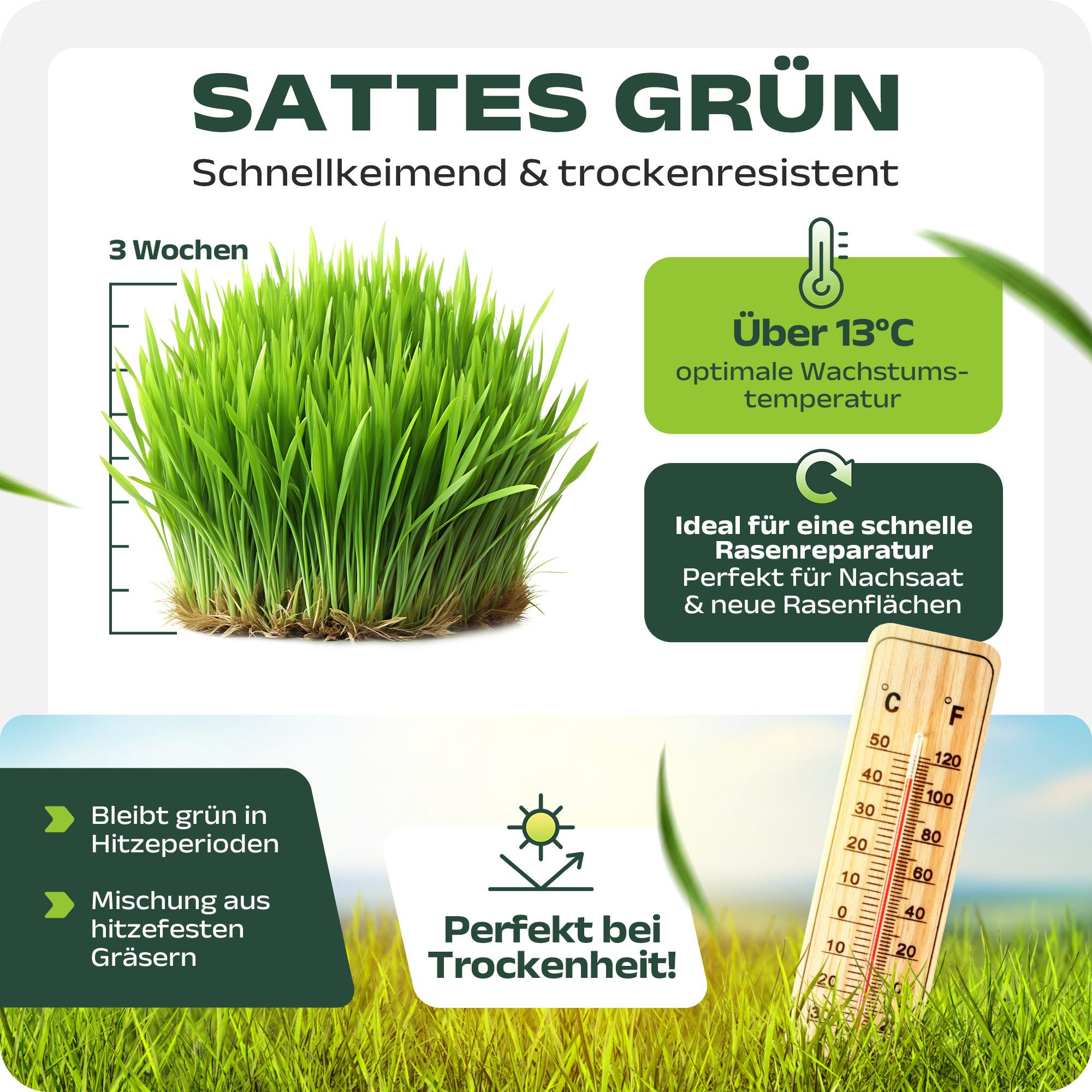 halmland Rasensamen halmland Premium Rasensamen 10kg schnellkeimend für Sport+Spiel 400m²