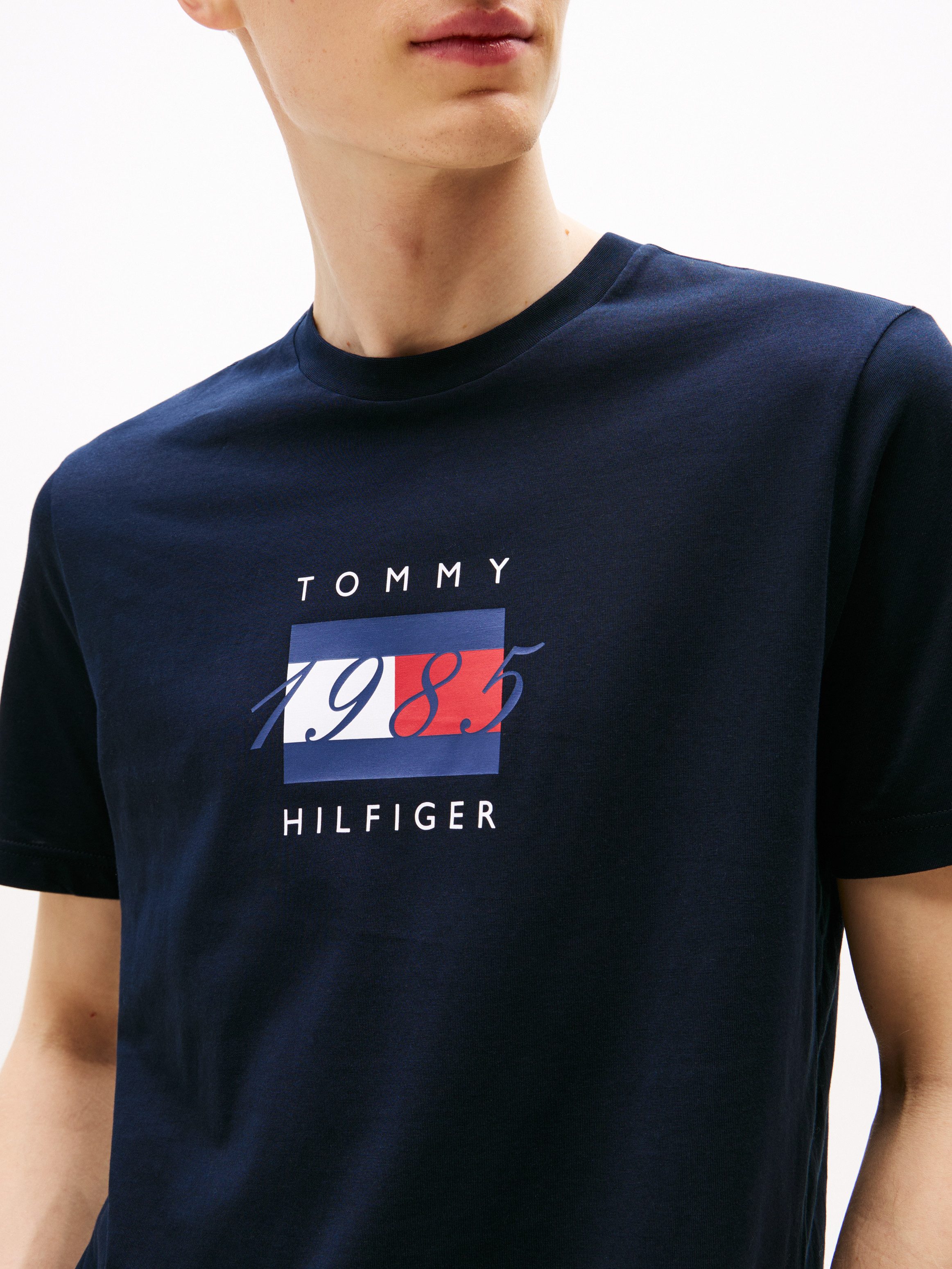 Tommy Hilfiger T-Shirt LINEAR FLAG GRAPHIC Rundhals, regular fit, Jersey günstig online kaufen