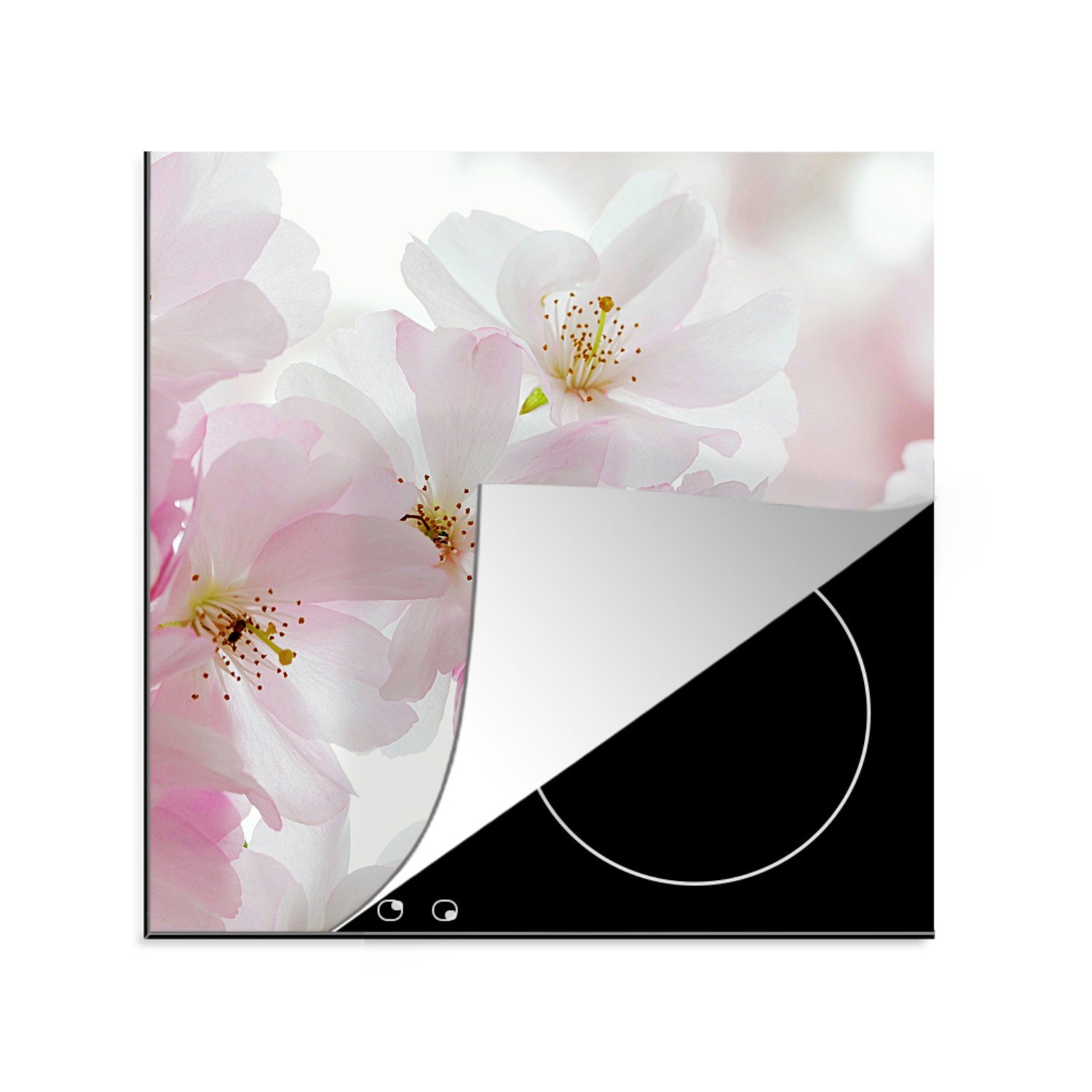 Ceranfeldabdeckung, Arbeitsplatte Vinyl, MuchoWow - küche Blüte, (1 78x78 Kirschen tlg), für cm, Herdblende-/Abdeckplatte