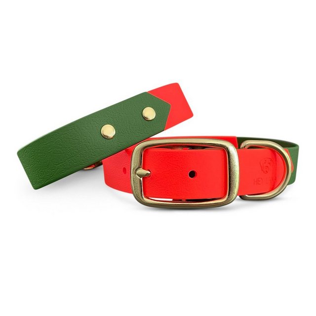 Hey Lana Hunde-Halsband Hundehalsband Outdoor SPORT – Wasserfest – Neon-orange/Grün