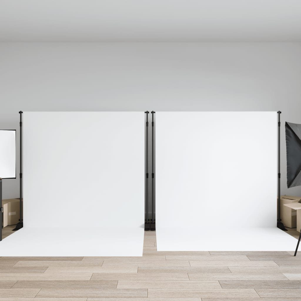 vidaXL Fotohintergrund Hintergrundstative 2 Stk. Schwarz 305x243 cm Stahl