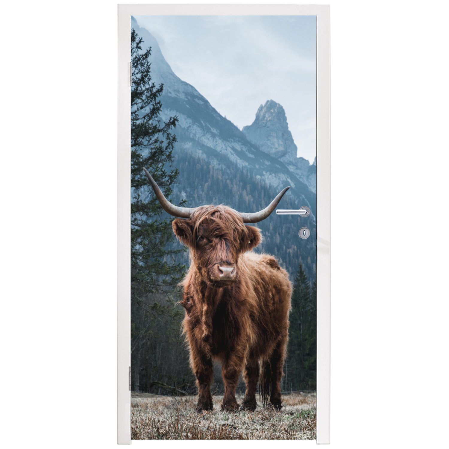 Schottische Tiere - Türaufkleber, Highlander Matt, Fototapete MuchoWow Tür, bedruckt, St), (1 für Türtapete 75x205 Landschaft, - cm
