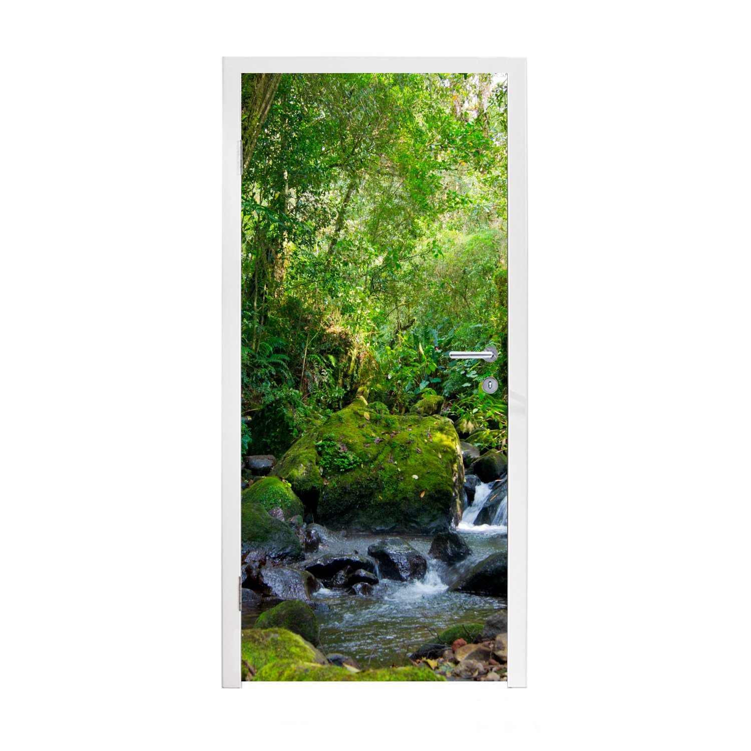 MuchoWow Türtapete Rainforest Creek, Matt, bedruckt, (1 St), Fototapete für Tür, Türaufkleber, 75x205 cm | Türtapeten