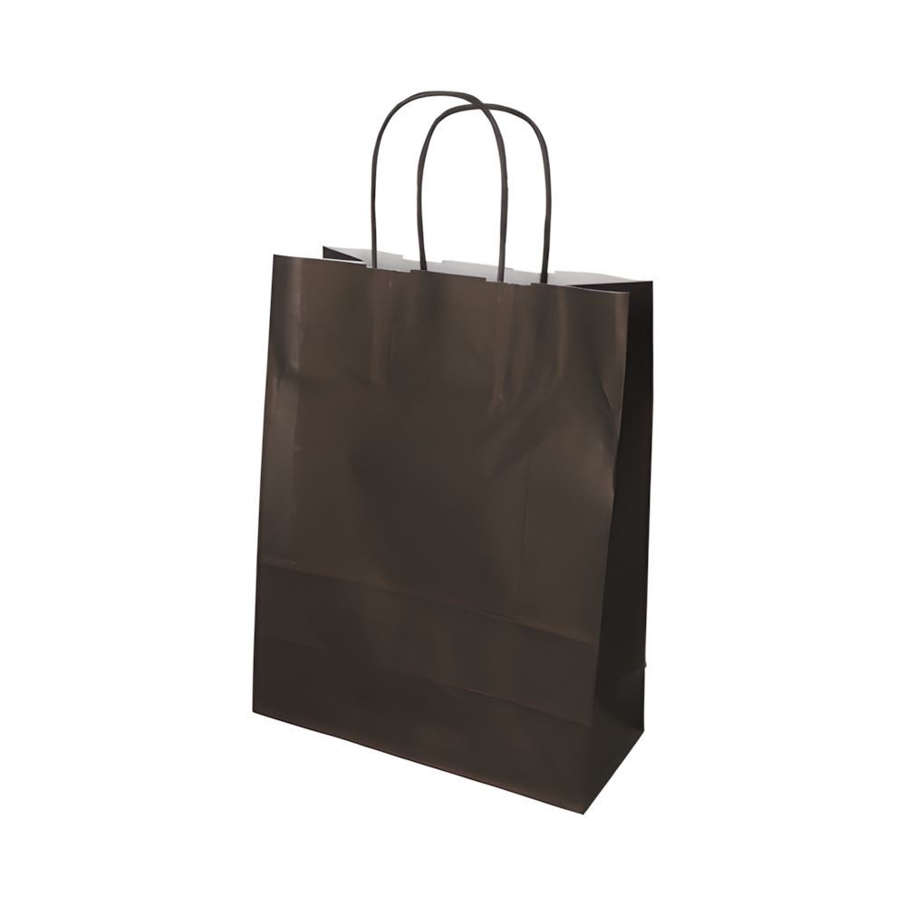PAPSTAR Tragetasche 250x Tragetaschen Papier 28 x 22 x 10cm schwarz gedrehter Tragegriff