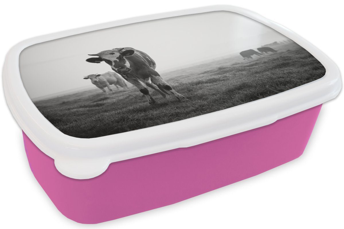 Kunststoff Mädchen, Kühe Foto, Kunststoff, MuchoWow rosa Snackbox, schwarz-weiß (2-tlg), Erwachsene, Brotdose Brotbox Morgennebel im für Lunchbox Kinder,