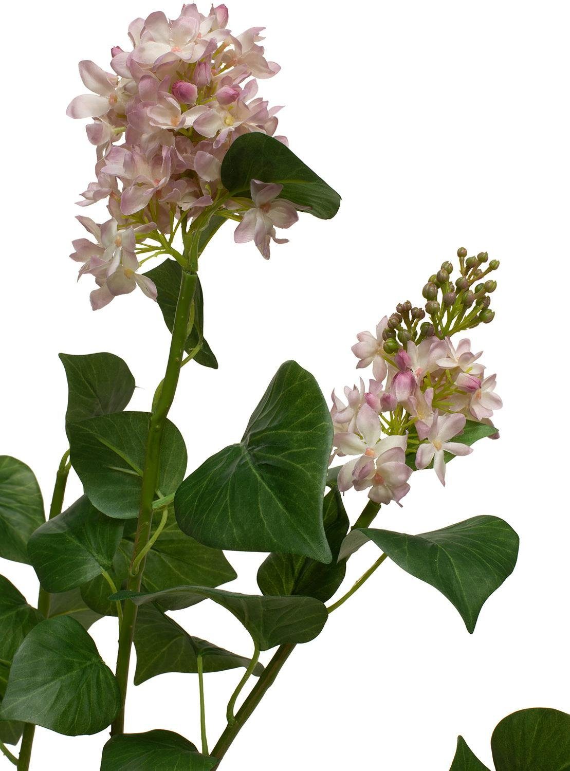 Kunstpflanze Lilac cm 79 Lilac, Kunstpflanze Höhe ami, 79 fleur Höhe cm