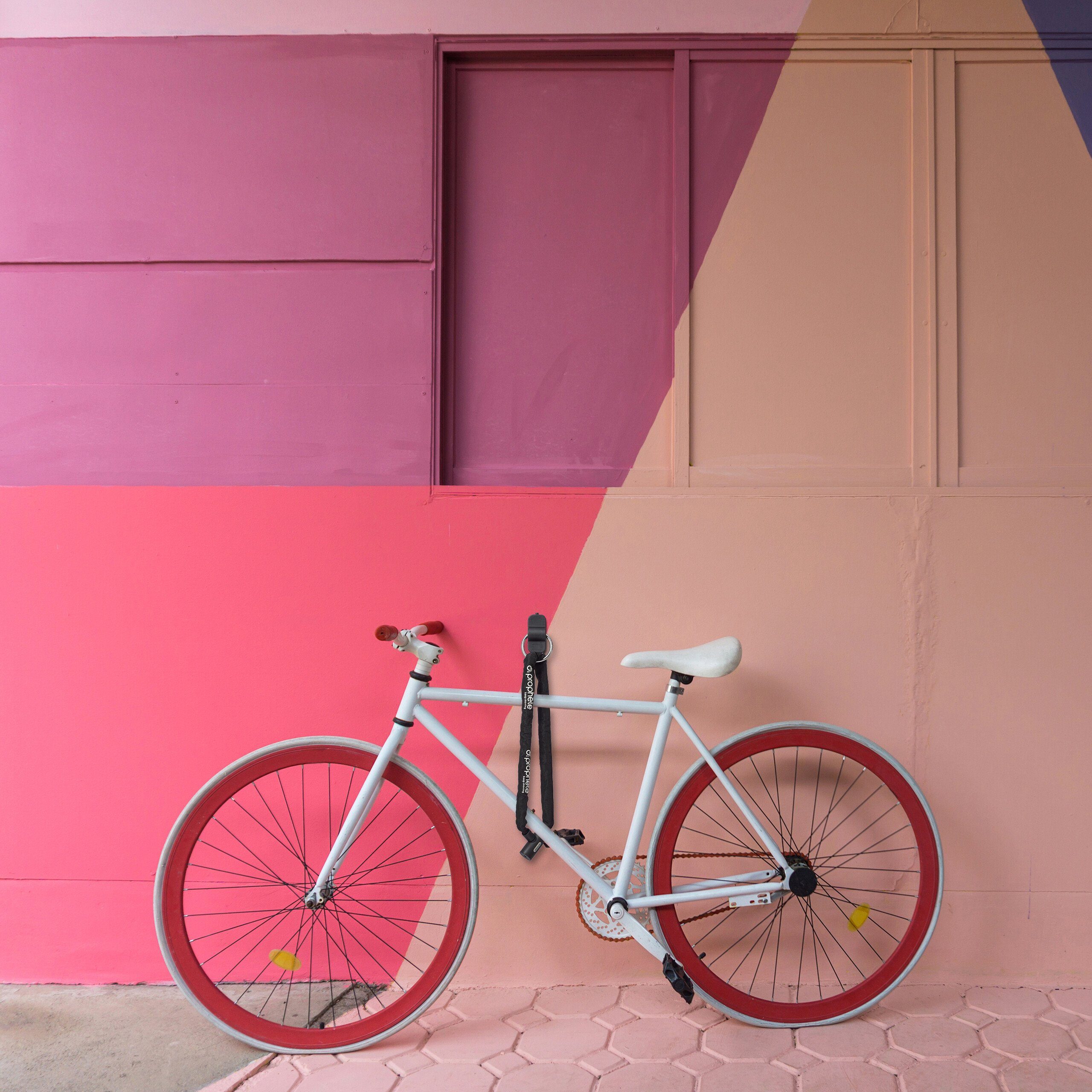 relaxdays Wandanker Wand- und Bodenanker für Fahrrad, (1-St)