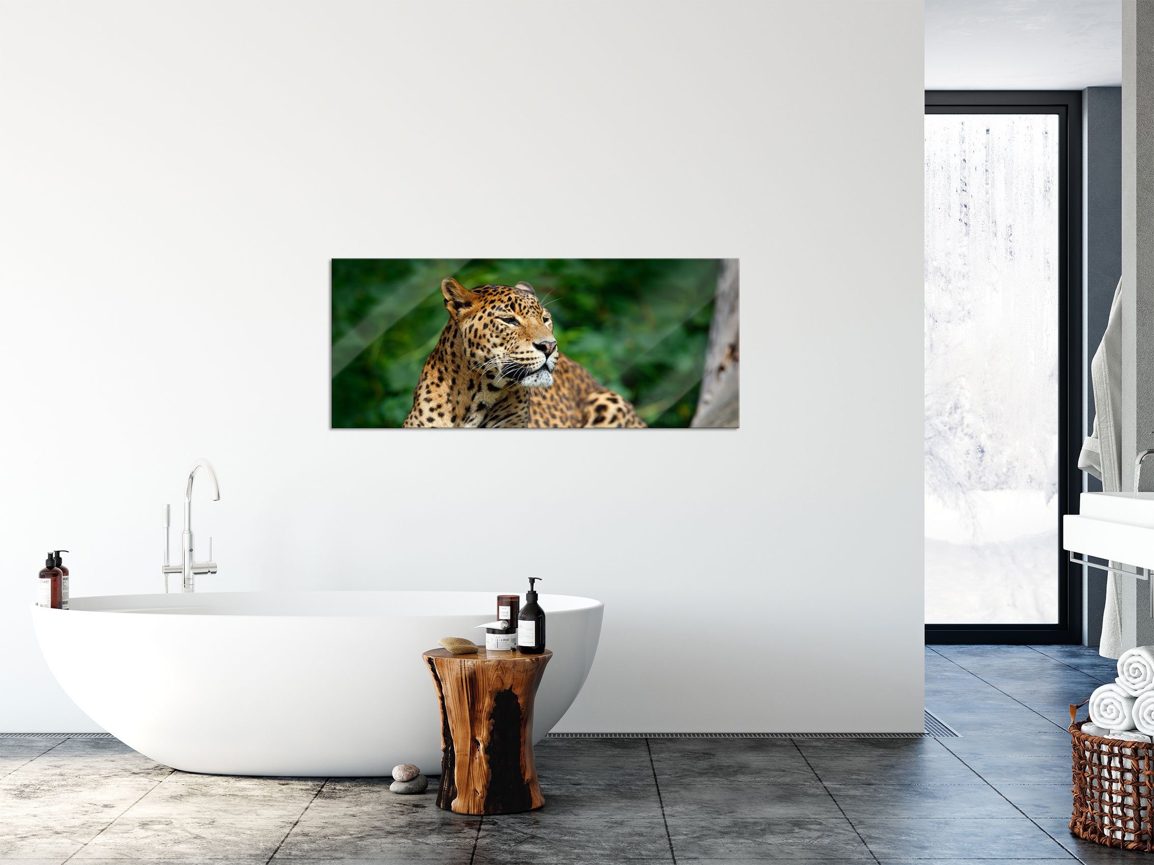 (1 Pixxprint in Glasbild der Glasbild Aufhängungen Abstandshalter St), in Leopard aus inkl. Echtglas, der Natur, Wunderschöner Leopard Natur Wunderschöner und