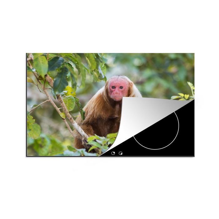 MuchoWow Herdblende-/Abdeckplatte Oeakari-Affe im Dschungel Vinyl (1 tlg) induktionskochfeld Schutz für die küche Ceranfeldabdeckung