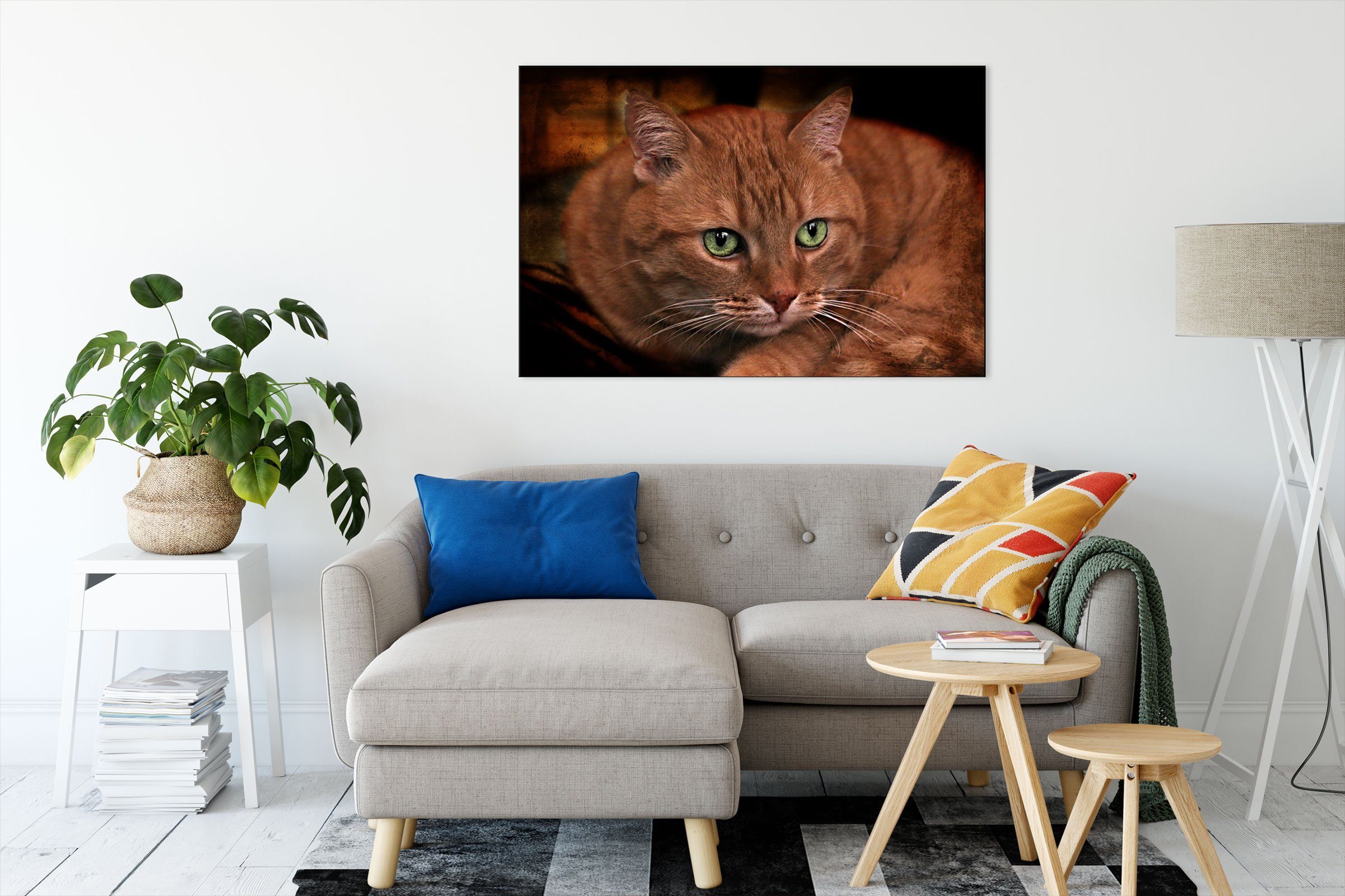 Pixxprint Leinwandbild schöne Hauskatze, schöne Hauskatze (1 St), Leinwandbild fertig bespannt, inkl. Zackenaufhänger
