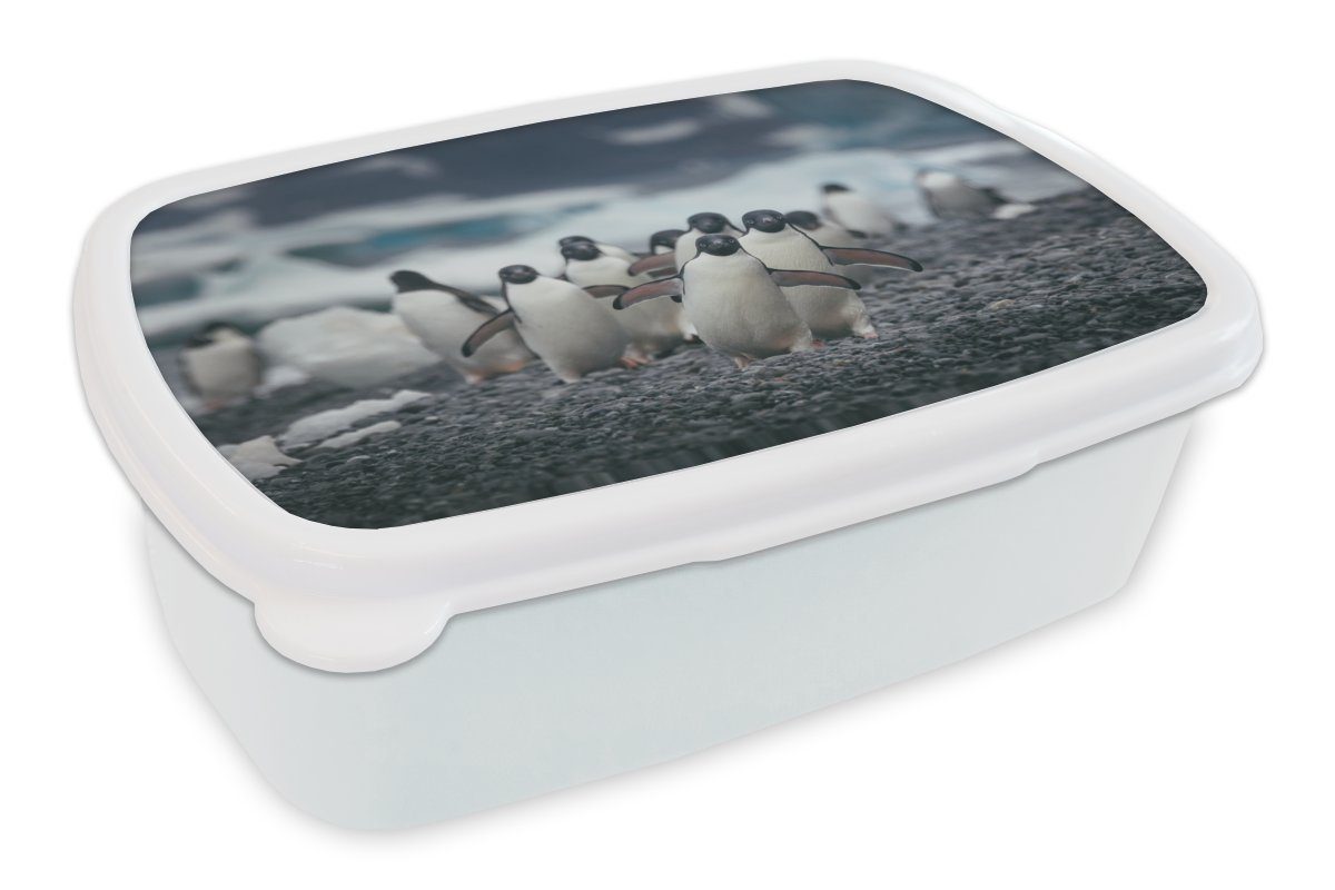 Lunchbox Kinder Adeliepinguine (2-tlg), weiß Brotbox Erwachsene, für für und am und Strand, Jungs MuchoWow Mädchen Brotdose, Kunststoff,