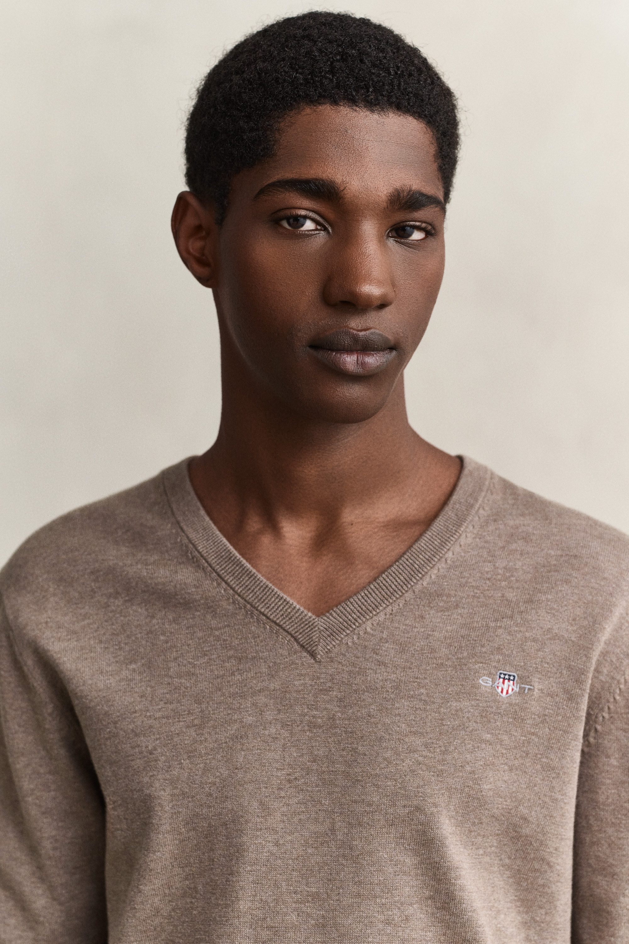 Gant V-Ausschnitt-Pullover CLASSIC COTTON V-NECK Regular fit mit V-Ausschnitt